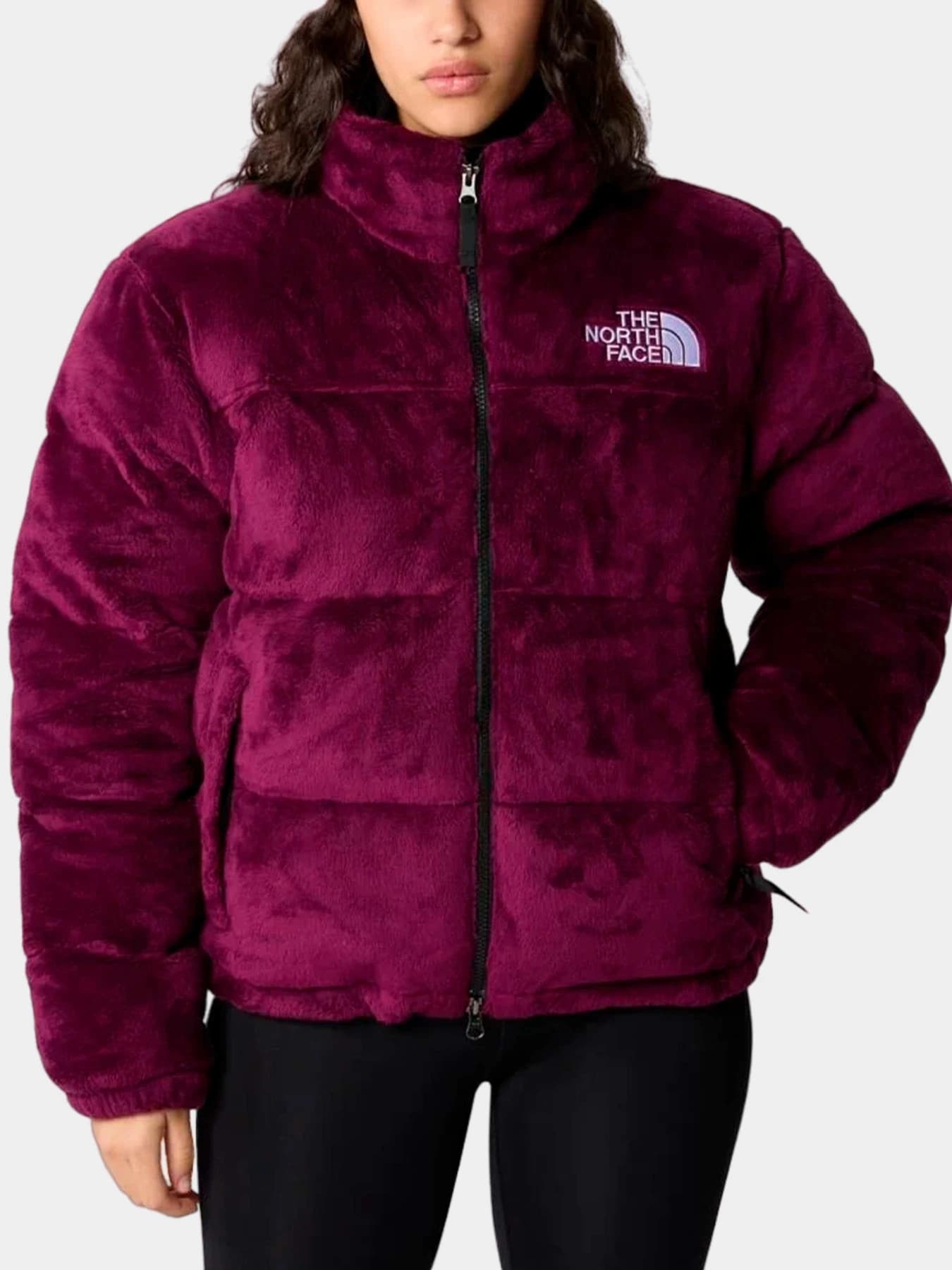 Куртки и дубленки The North Face модель NF0A84F9I0H1