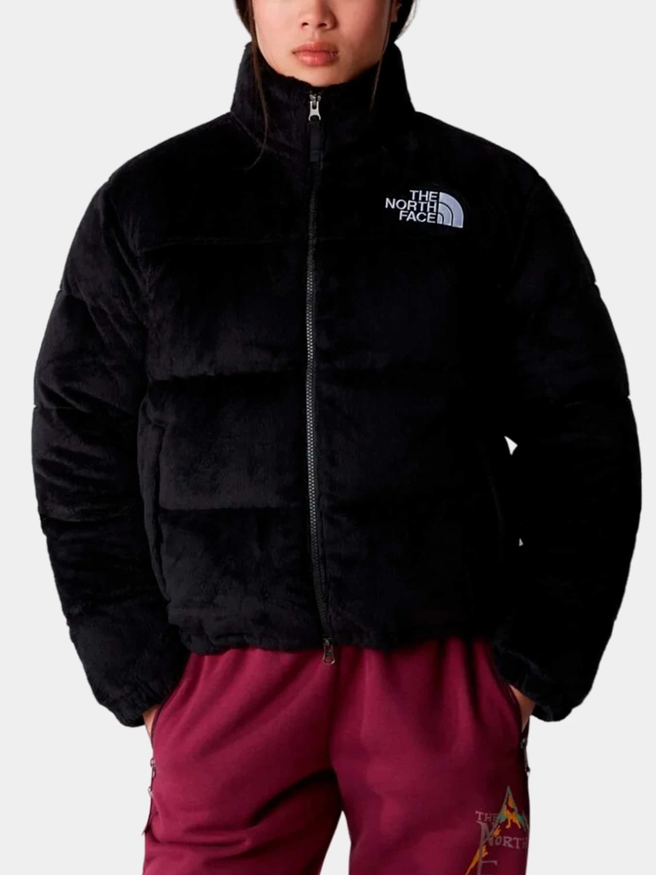 Куртки и дубленки The North Face модель NF0A84F9JK31