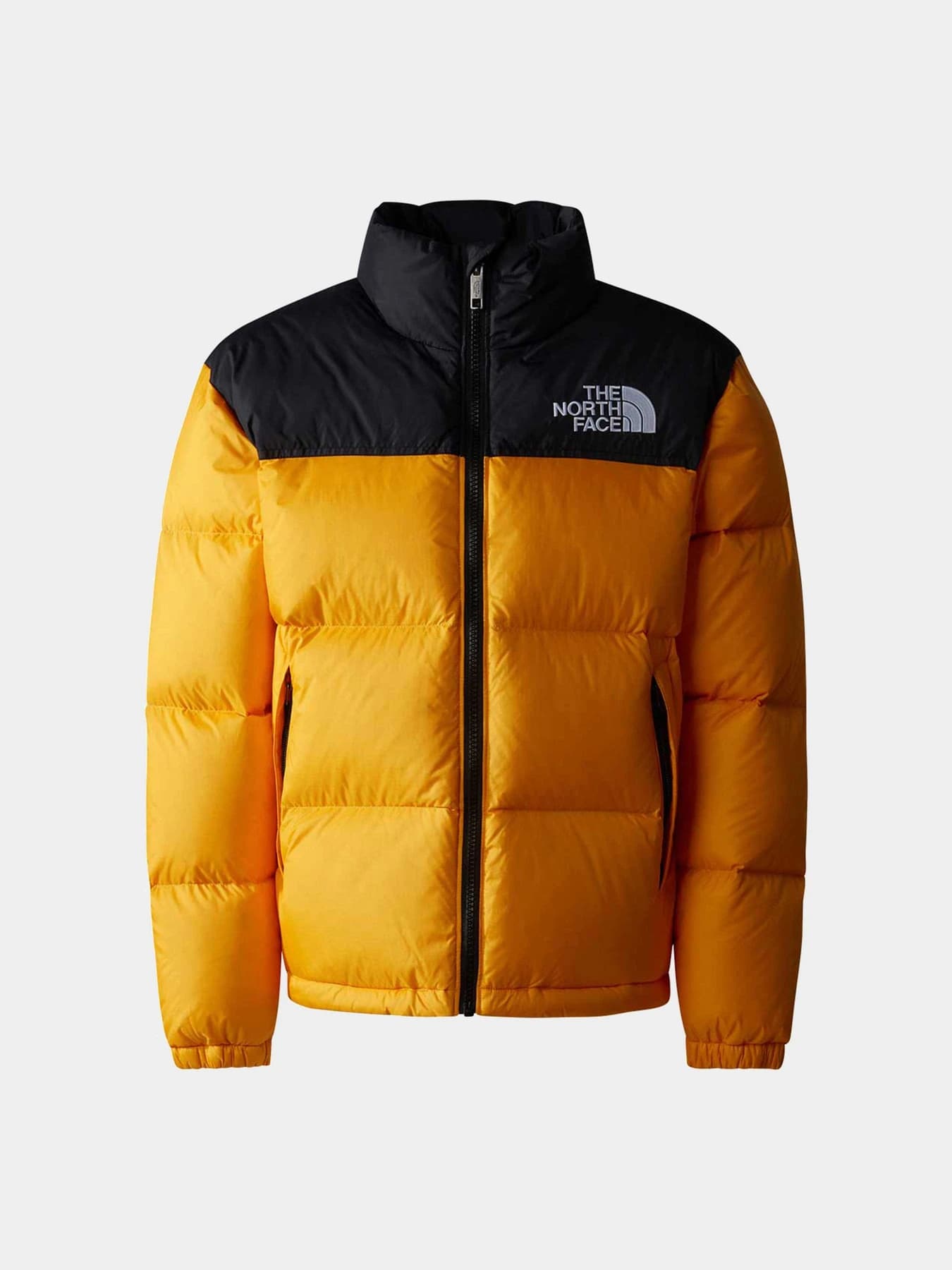Куртки и дубленки The North Face модель NF0A82UD56P1