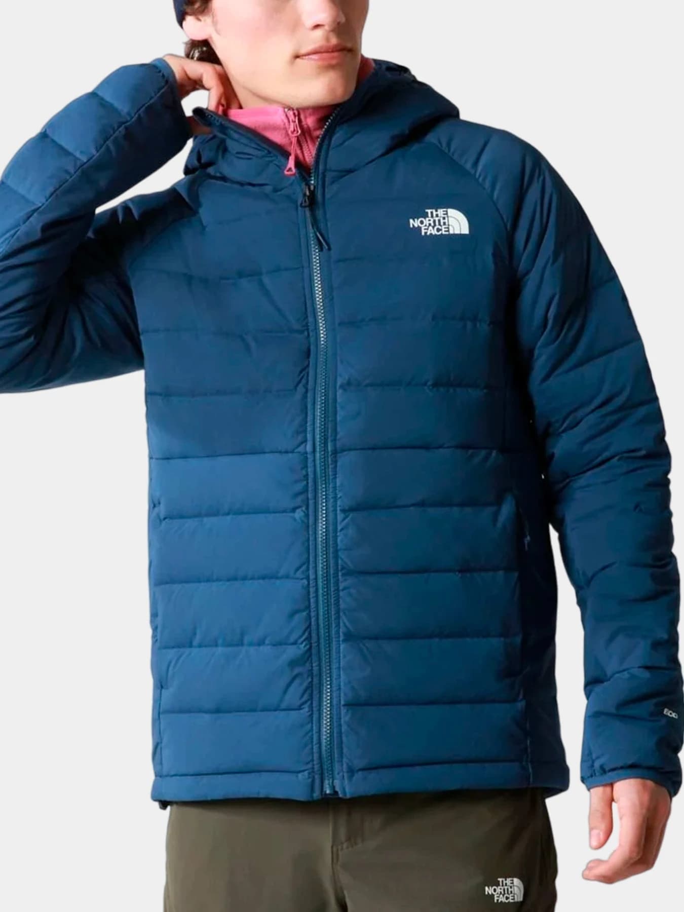 Куртки и дубленки The North Face модель NF0A7UJEHDC1