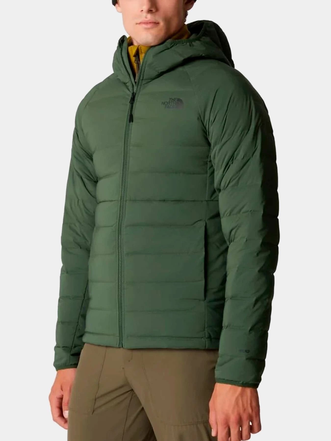 Куртки и дубленки The North Face модель NF0A7UJEI0P1