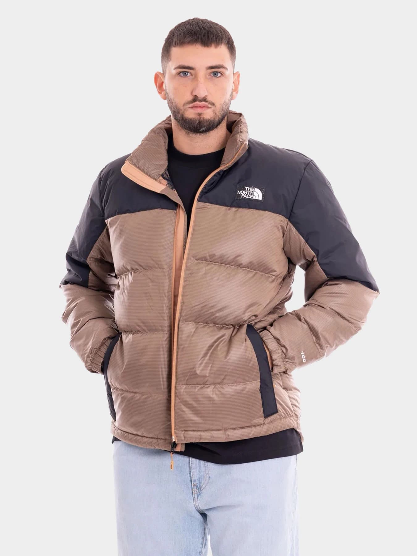 Куртки и дубленки The North Face модель NF0A7ZFRKOM1