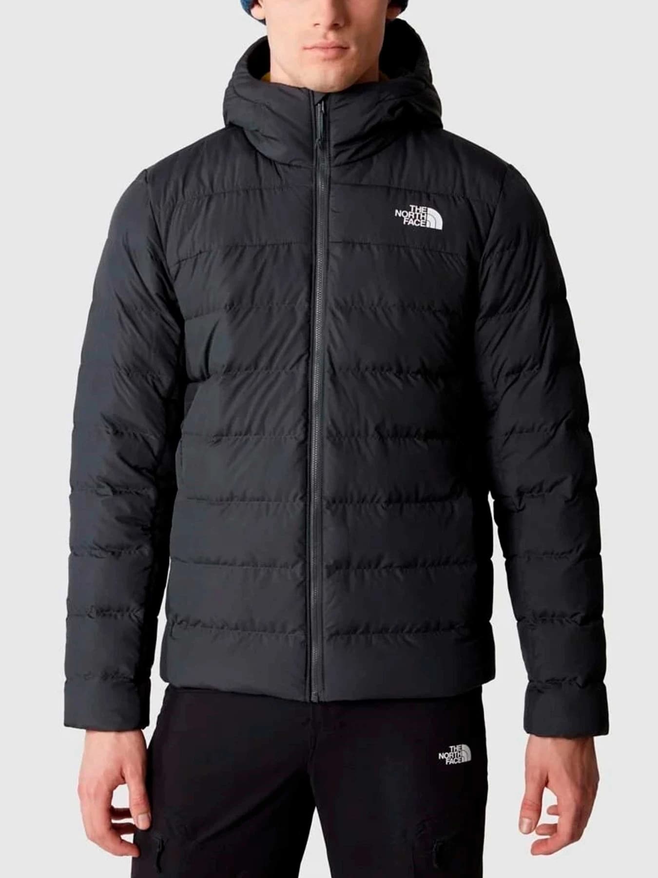 Куртки и дубленки The North Face модель NF0A84I10C51