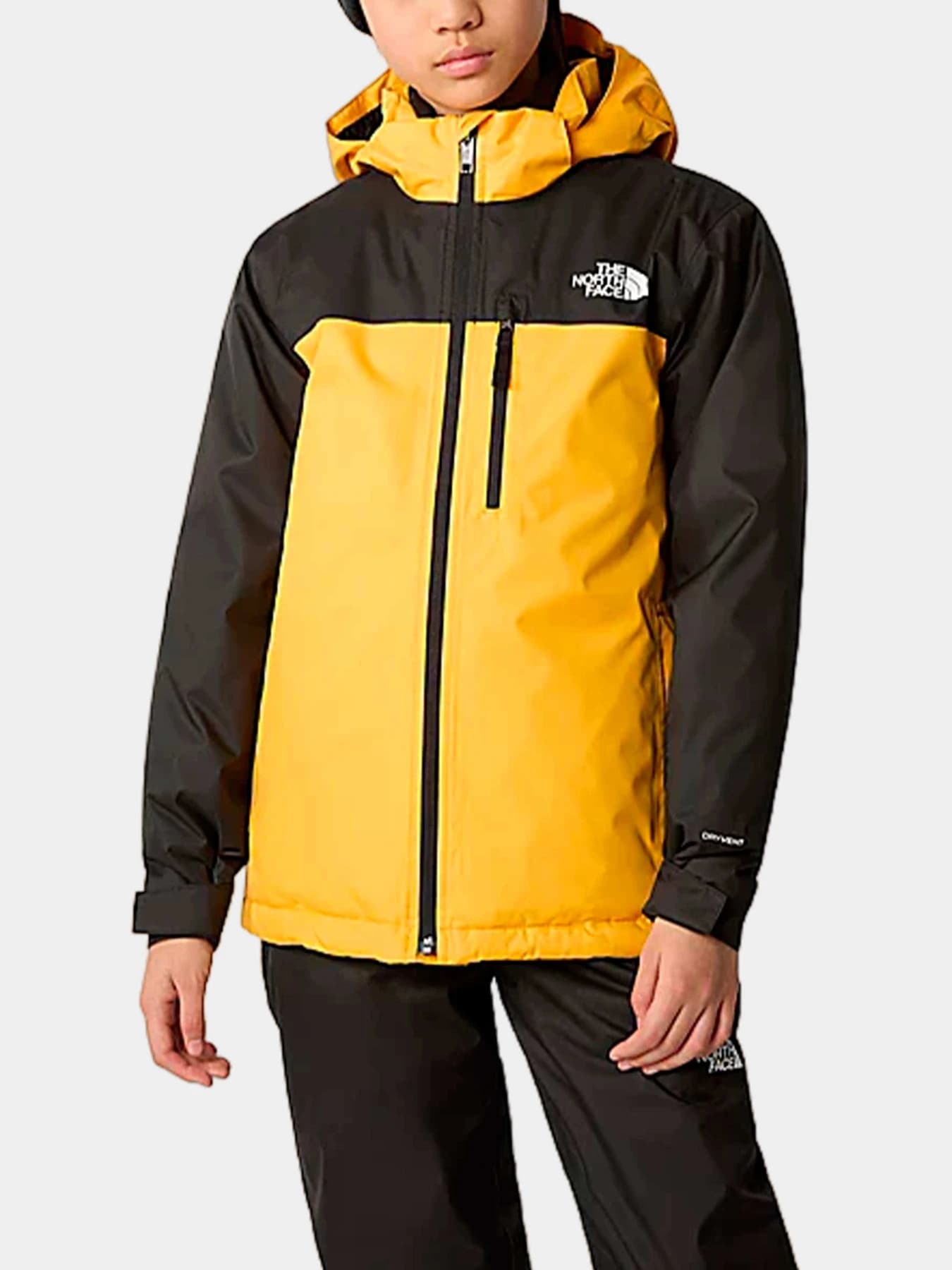 Куртки и дубленки The North Face модель NF0A8555ZU31