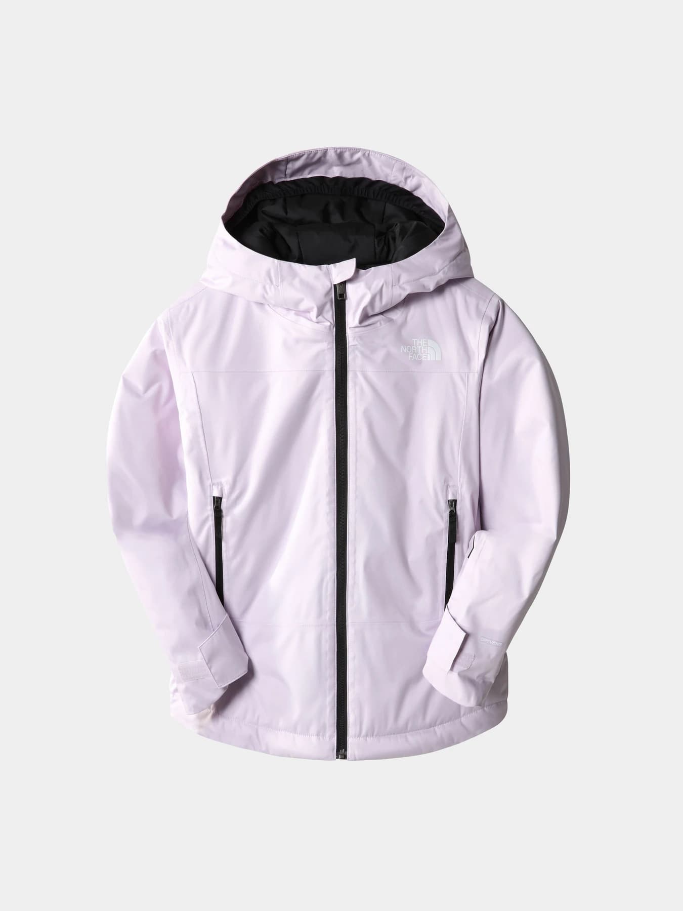 Куртки и дубленки The North Face модель NF0A7UN66S11