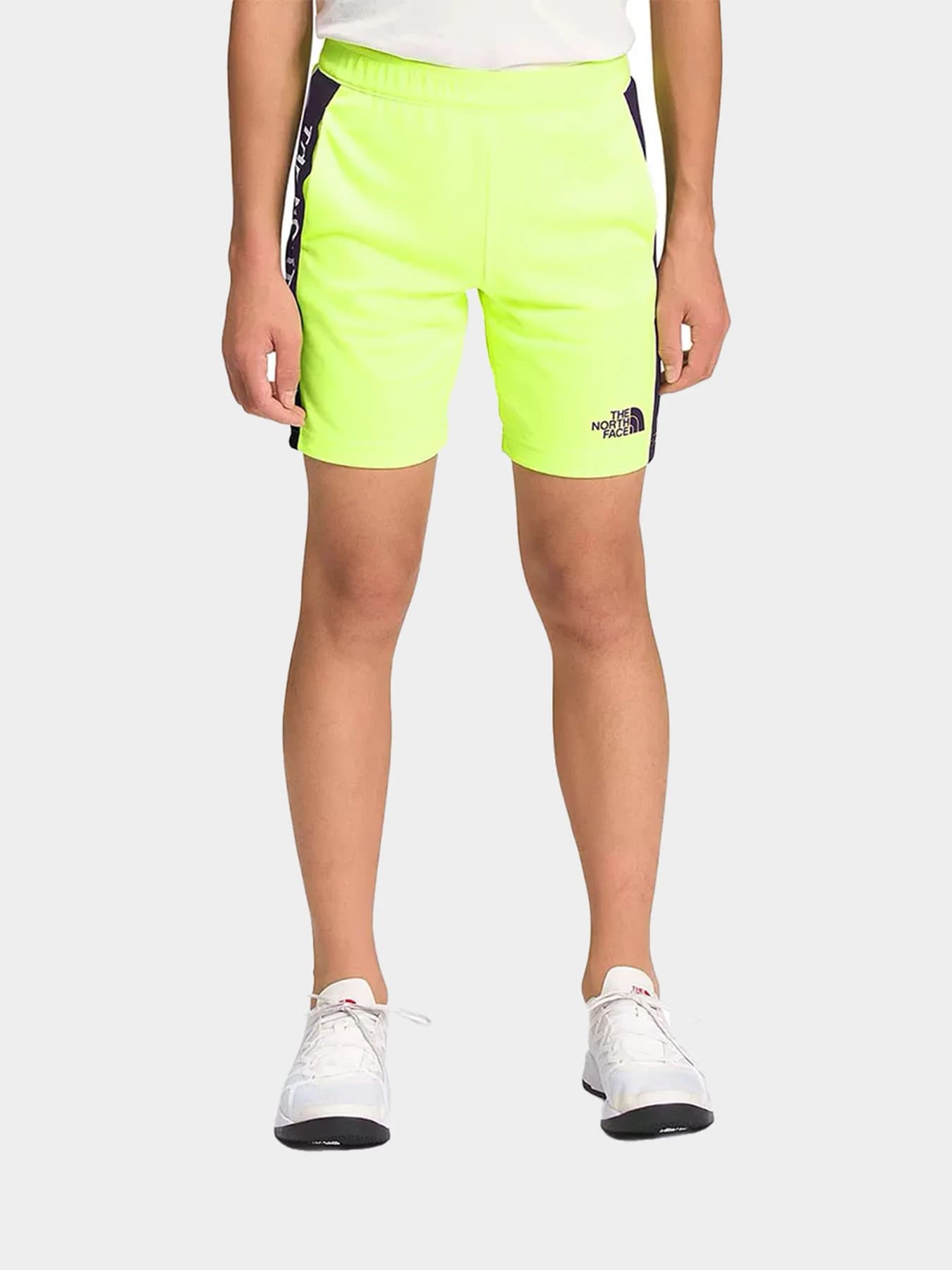 Шорты The North Face модель NF0A82DL8NT1