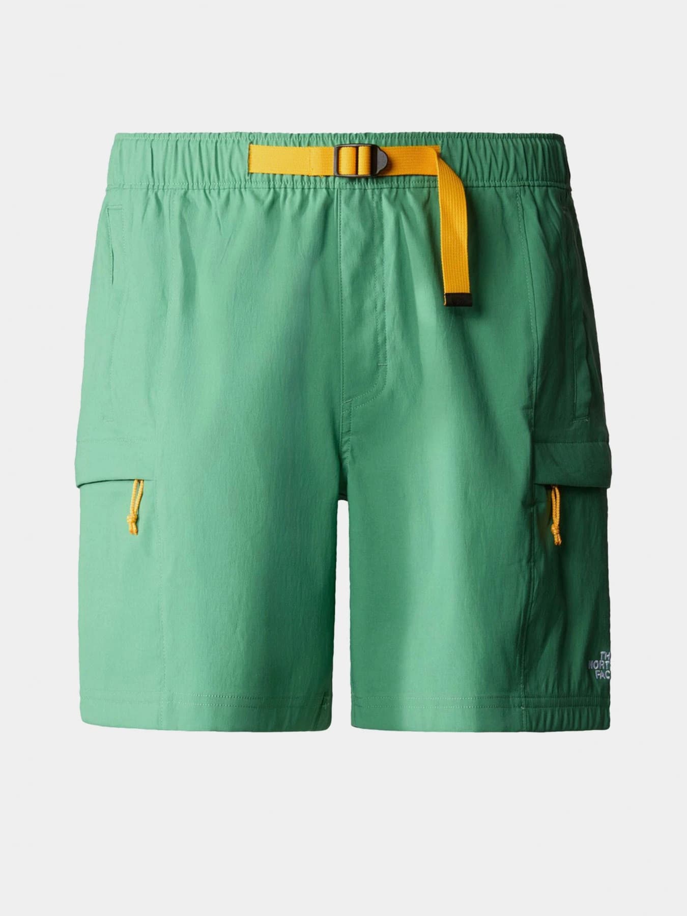 Шорты The North Face модель NF0A55V8N111