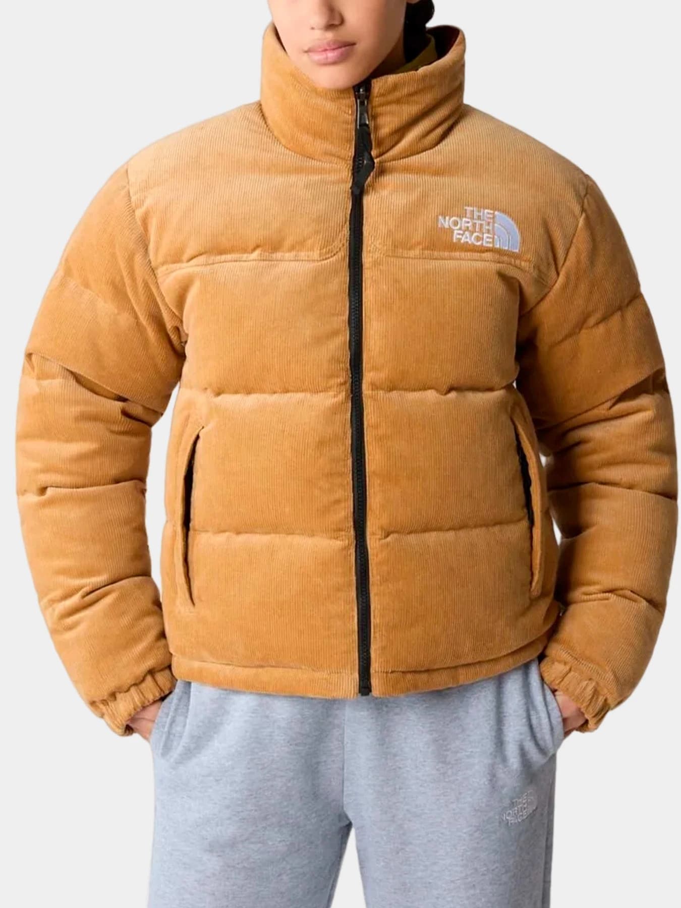 Куртки и дубленки The North Face модель NF0A831JKOK1