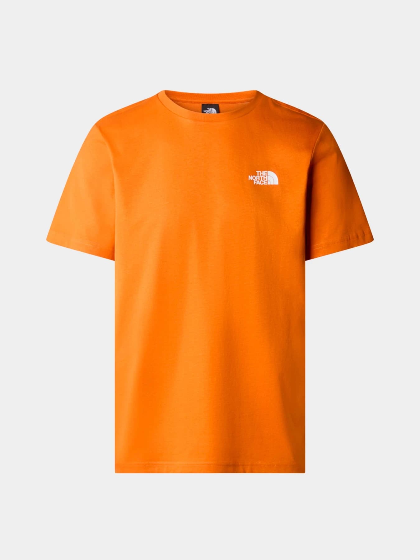 Футболки и поло The North Face модель NF0A87NPPCO1