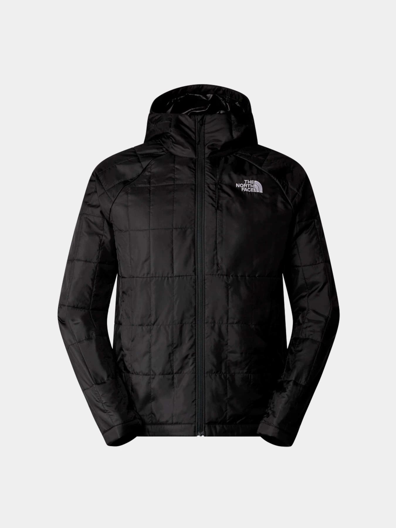 Куртки и дубленки The North Face модель NF0A88EXJK31