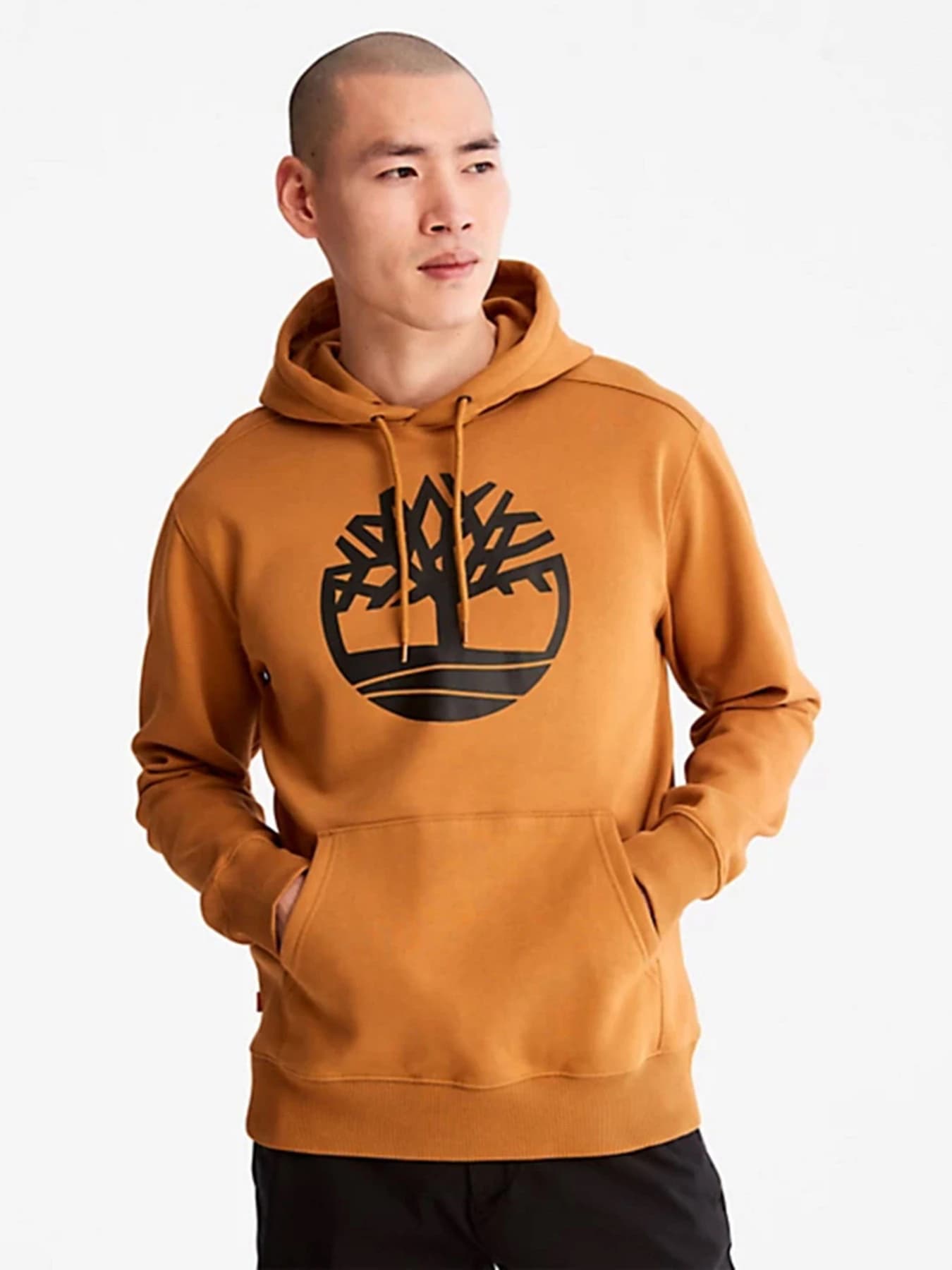Худи и свитшоты Timberland модель TB0A2BJHP571