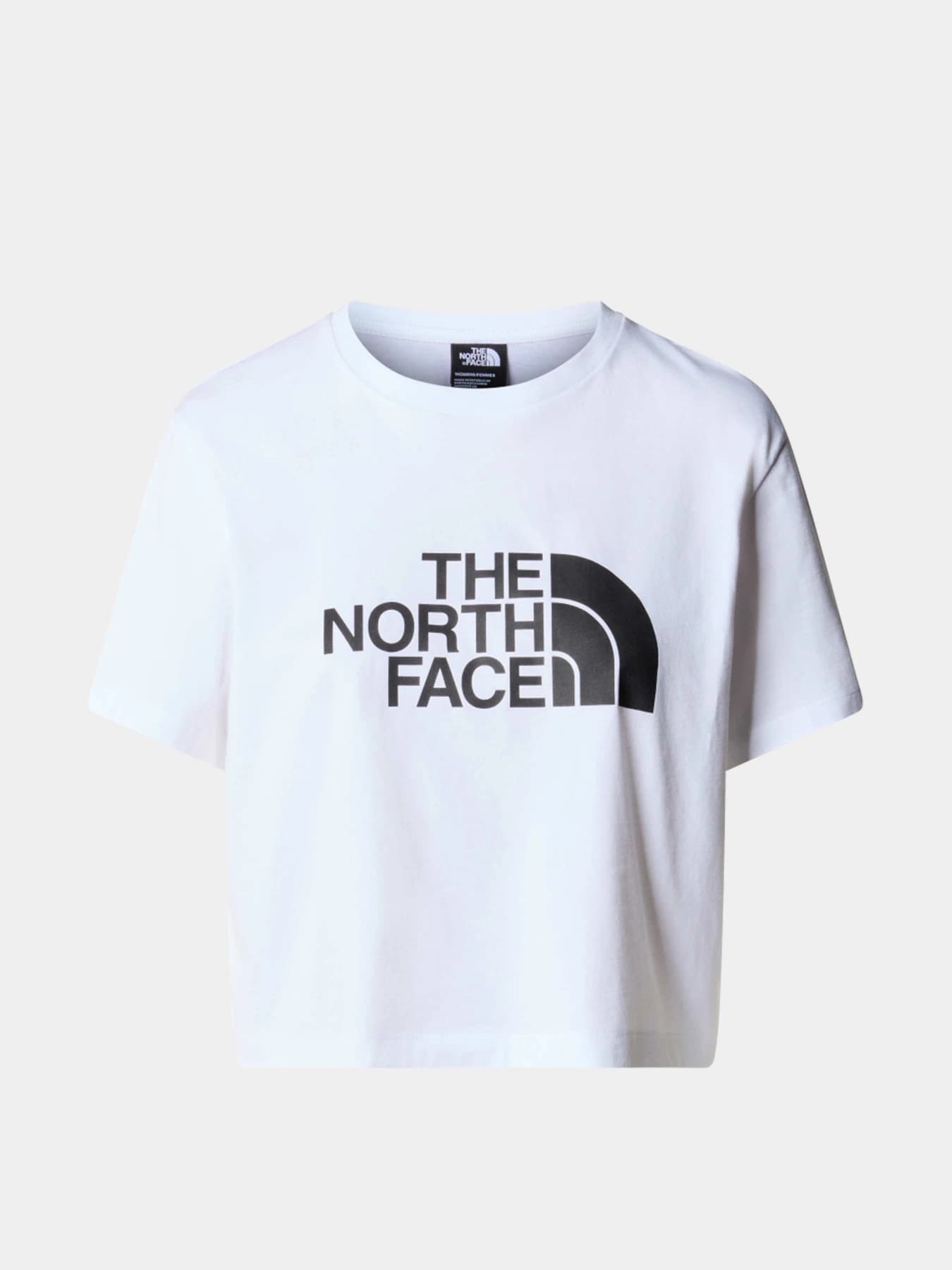 Футболки и поло The North Face модель NF0A87NAFN41