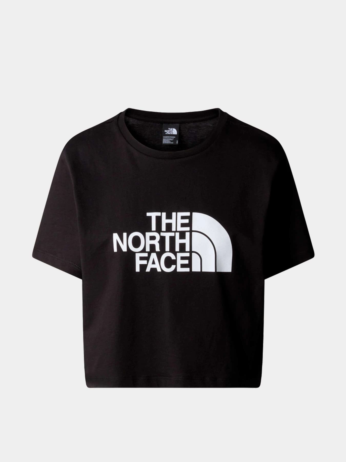 Футболки и поло The North Face модель NF0A87NAJK31