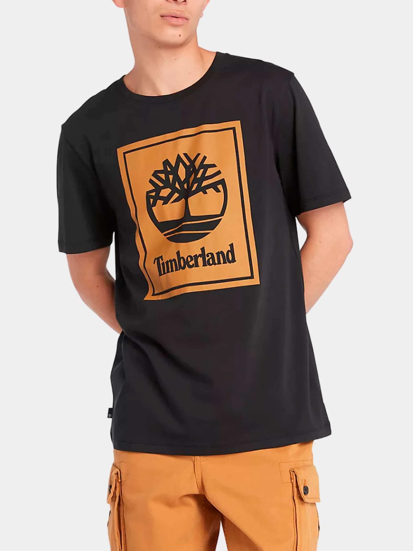 Футболки и поло Timberland модель TB0A5WQQP561