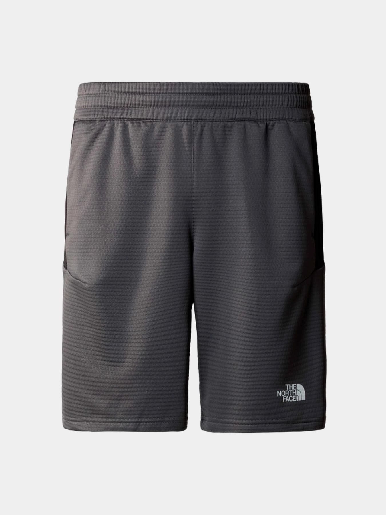 Шорты The North Face модель NF0A87J4WUO1