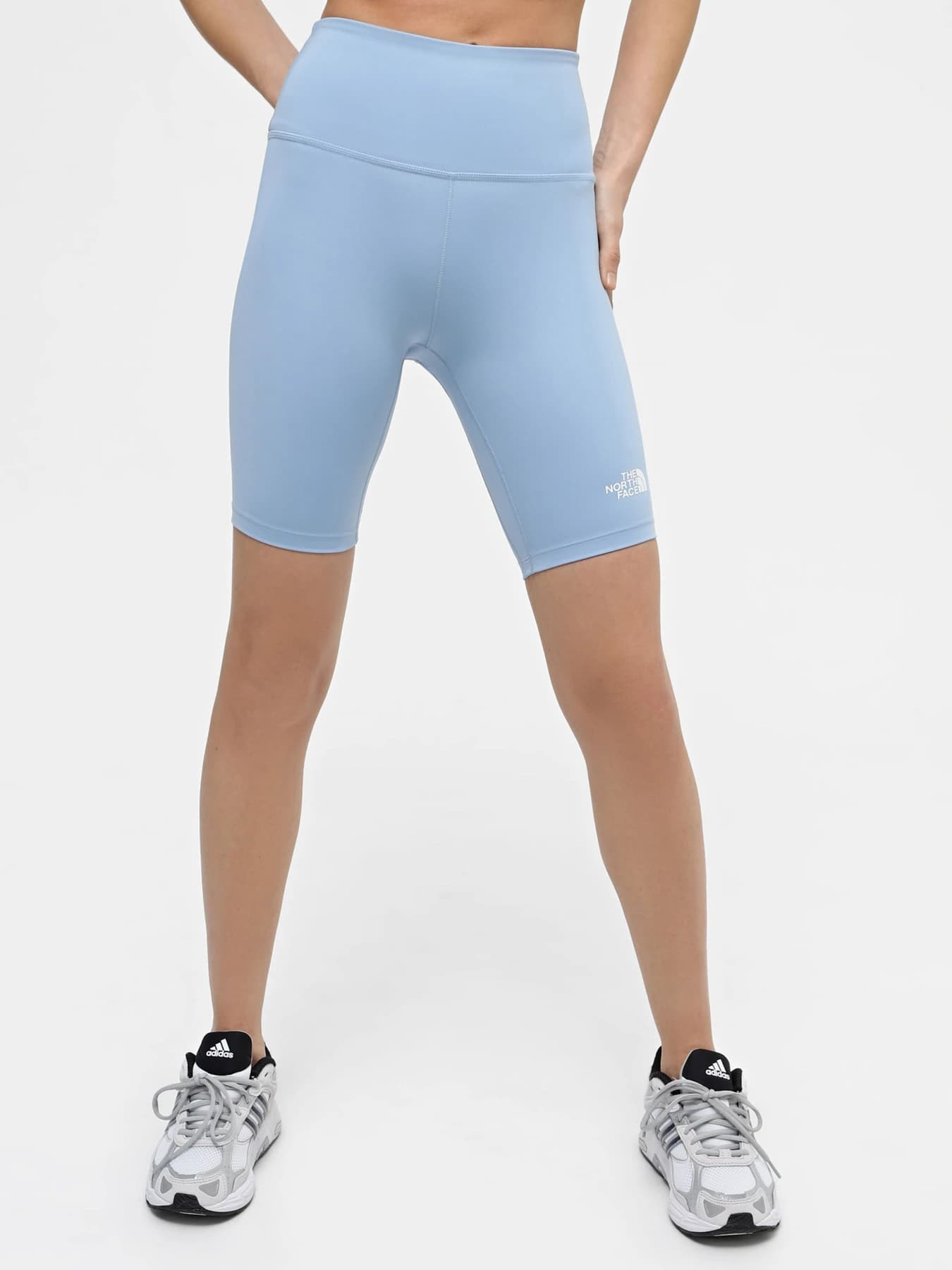Шорты The North Face модель NF0A87JUQEO1