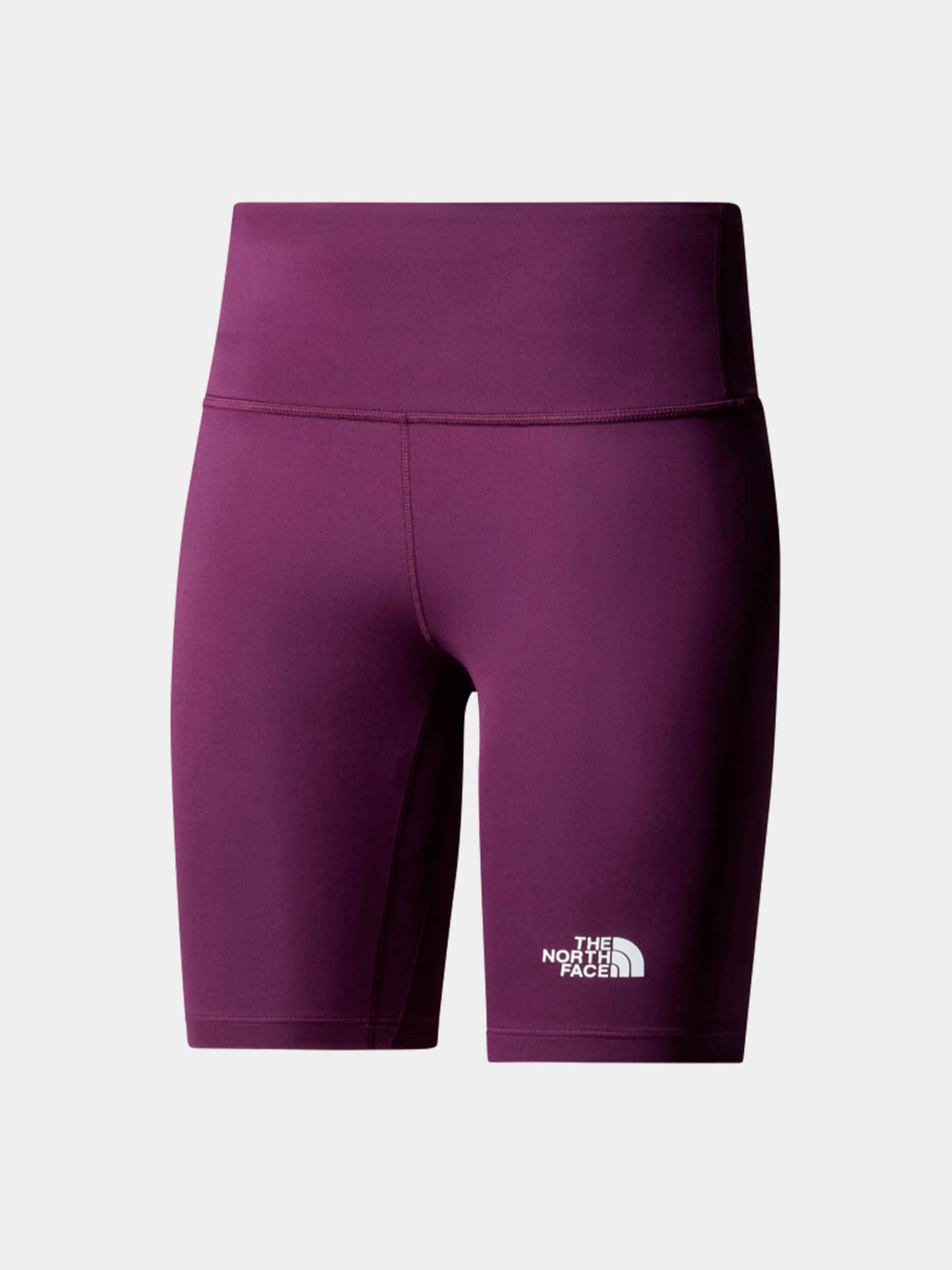 Шорты The North Face модель NF0A87JUV6V1