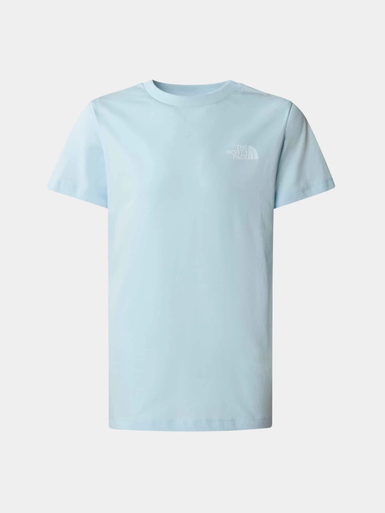 Футболки и поло The North Face модель NF0A87NMO0R1