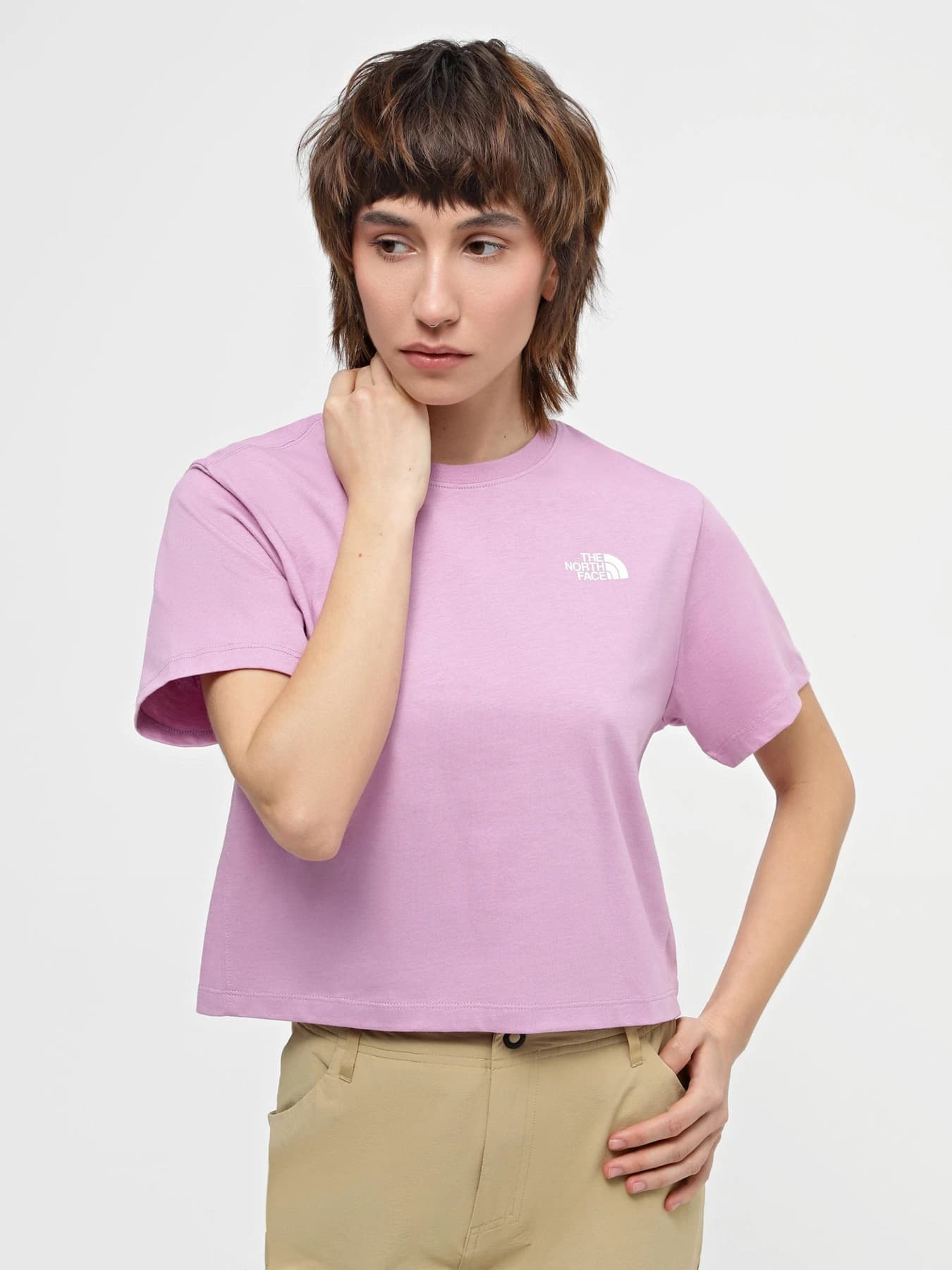 Футболки и поло The North Face модель NF0A880NPO21