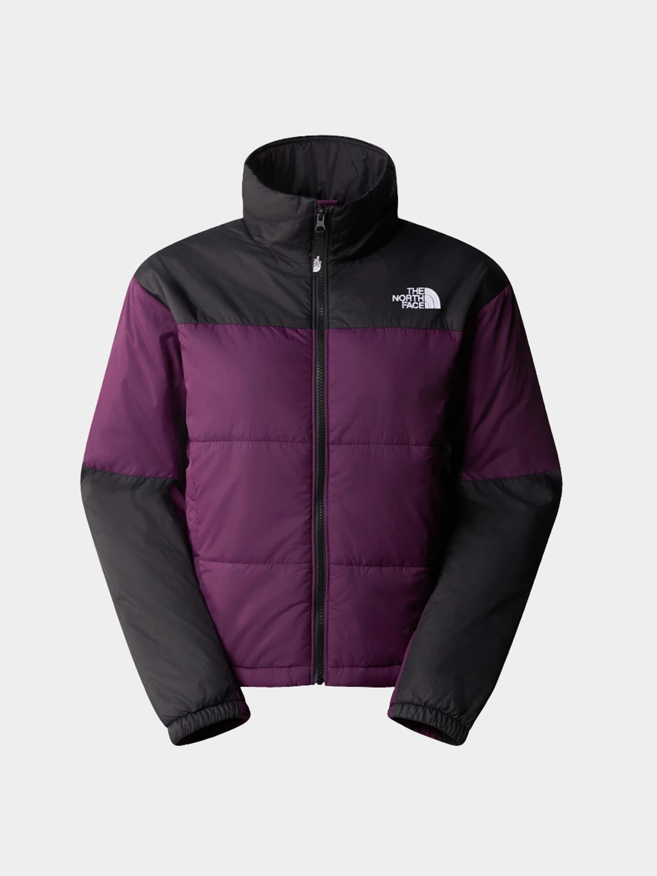 Куртки и дубленки The North Face модель NF0A879XV6V1