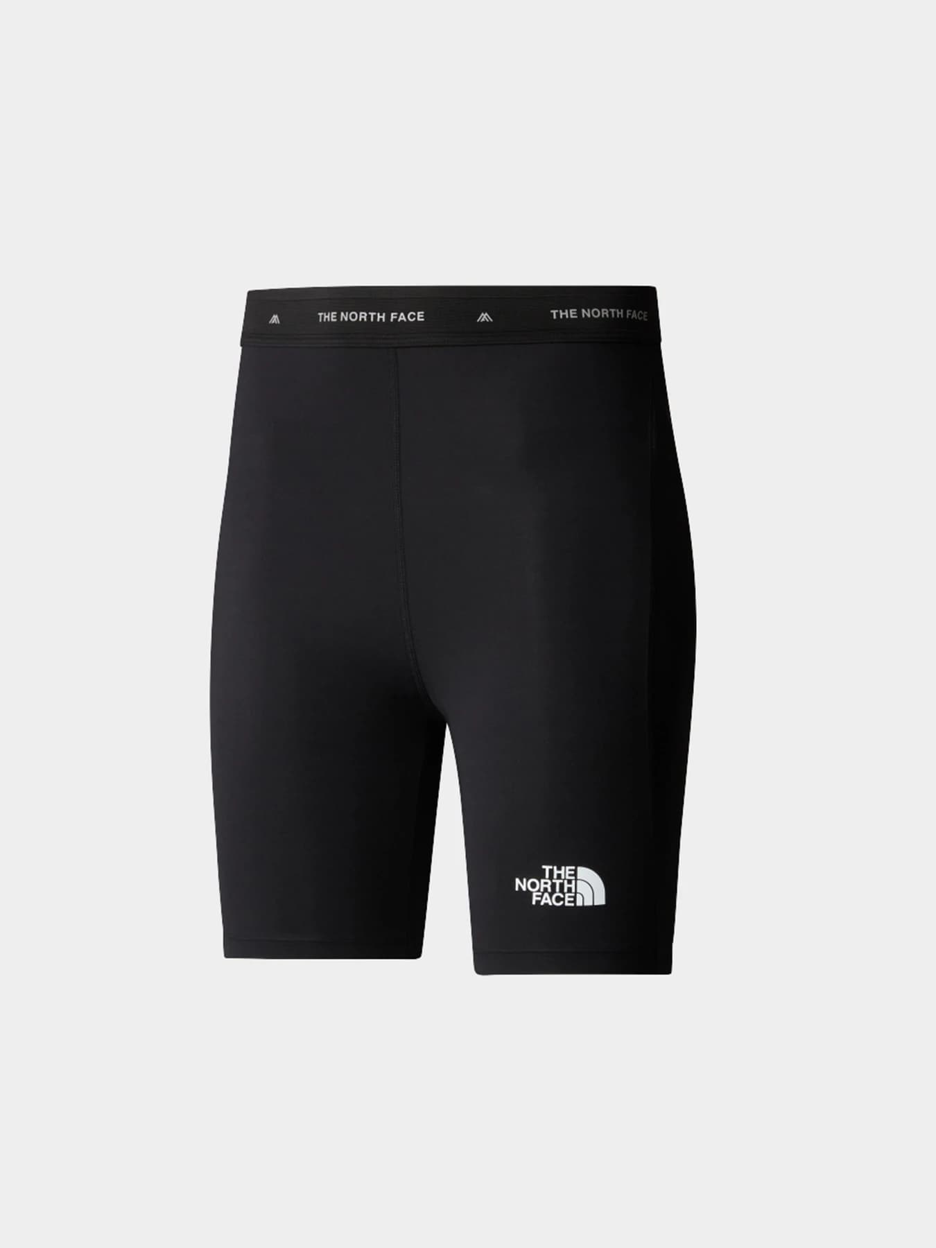 Шорты The North Face модель NF0A87B0JK31