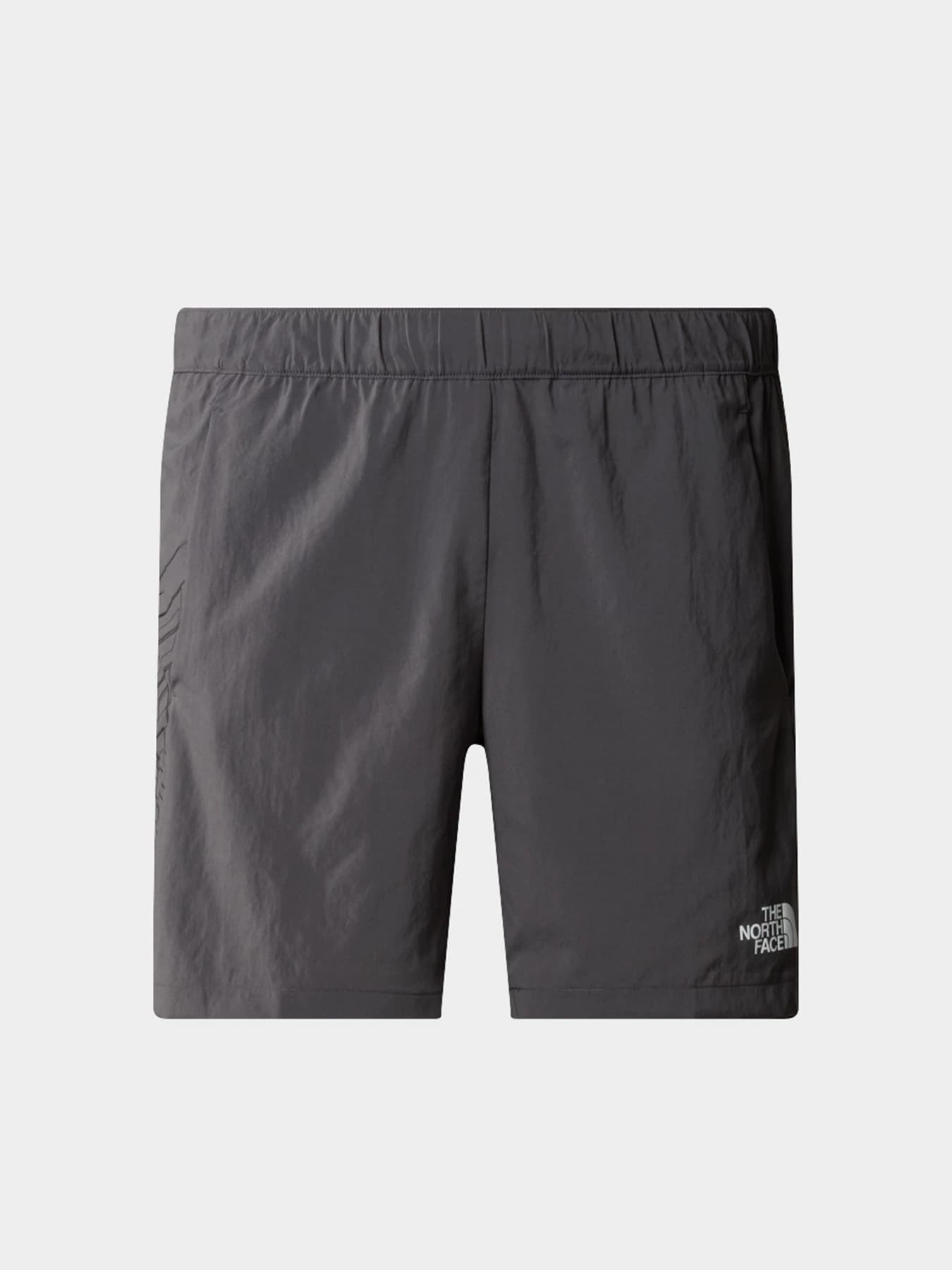 Шорты The North Face модель NF0A87JNWUO1