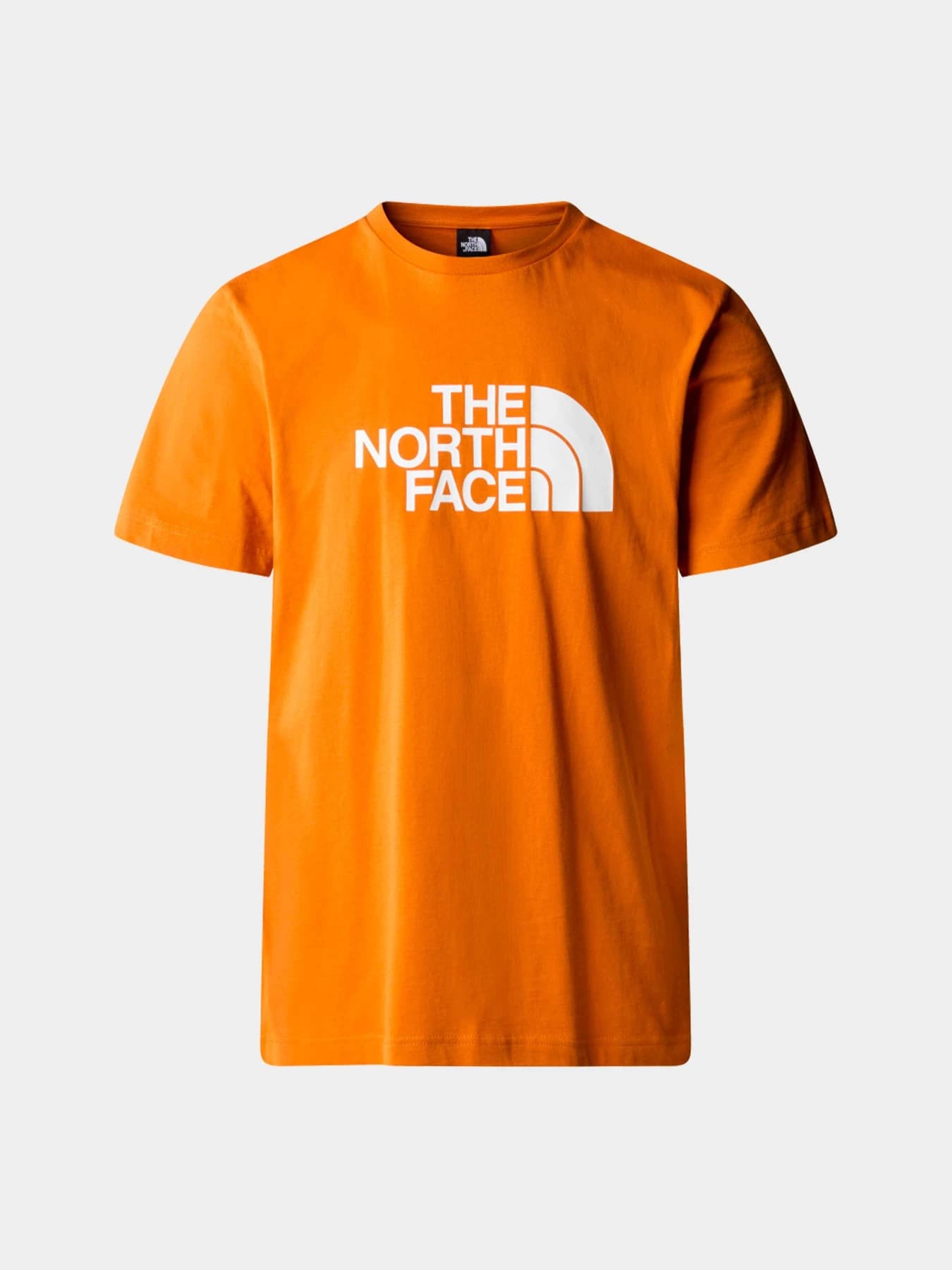Футболки и поло The North Face модель NF0A87N5PCO1