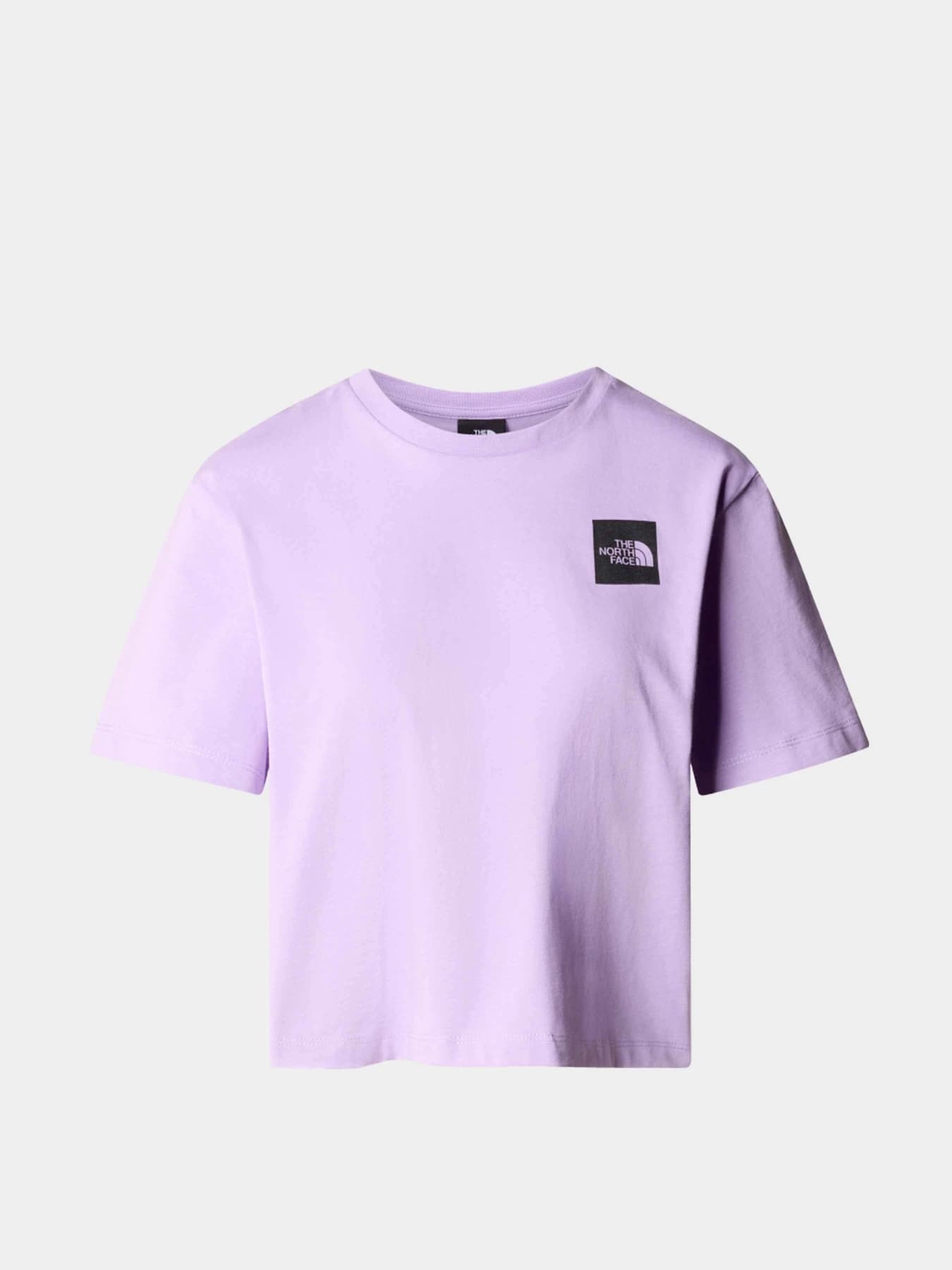 Футболки и поло The North Face модель NF0A87NBQZI1