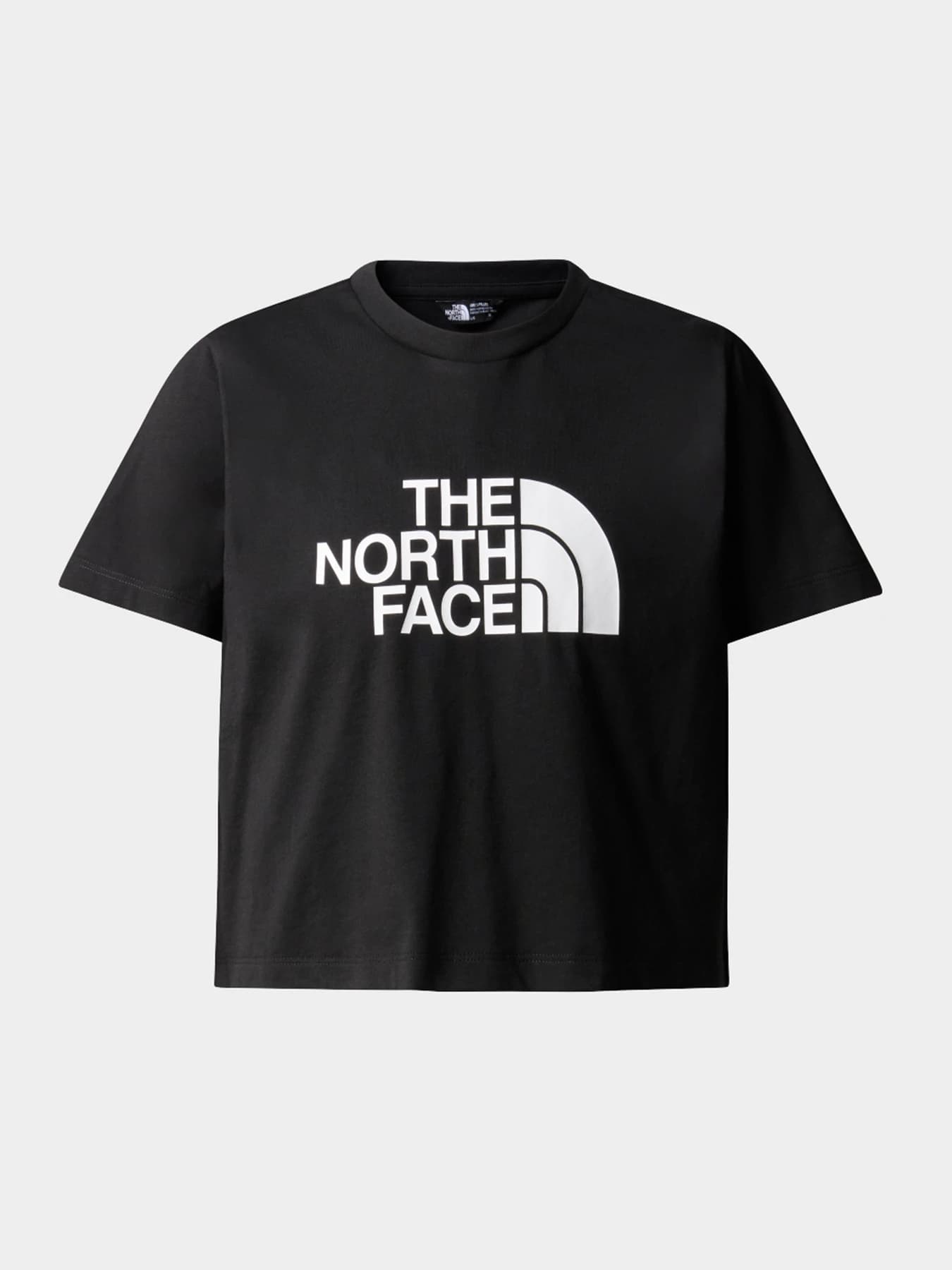 Футболки и поло The North Face модель NF0A87T7JK31