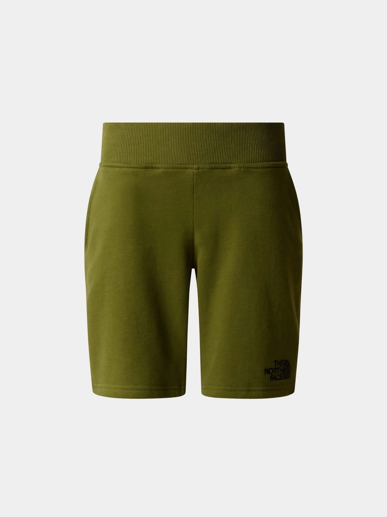 Шорты The North Face модель NF0A89P0PIB1