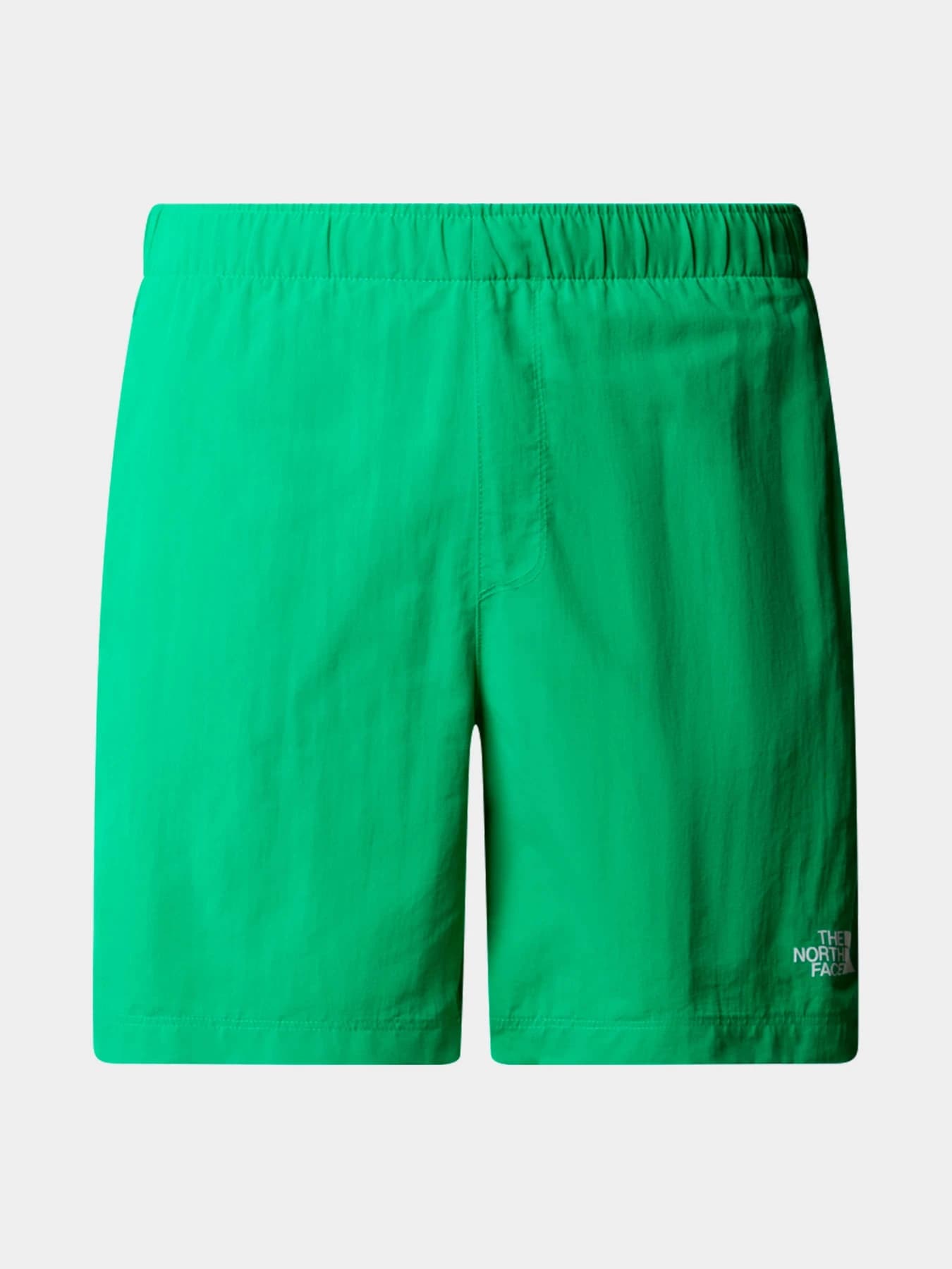 Шорты The North Face модель NF0A5IG5PO81