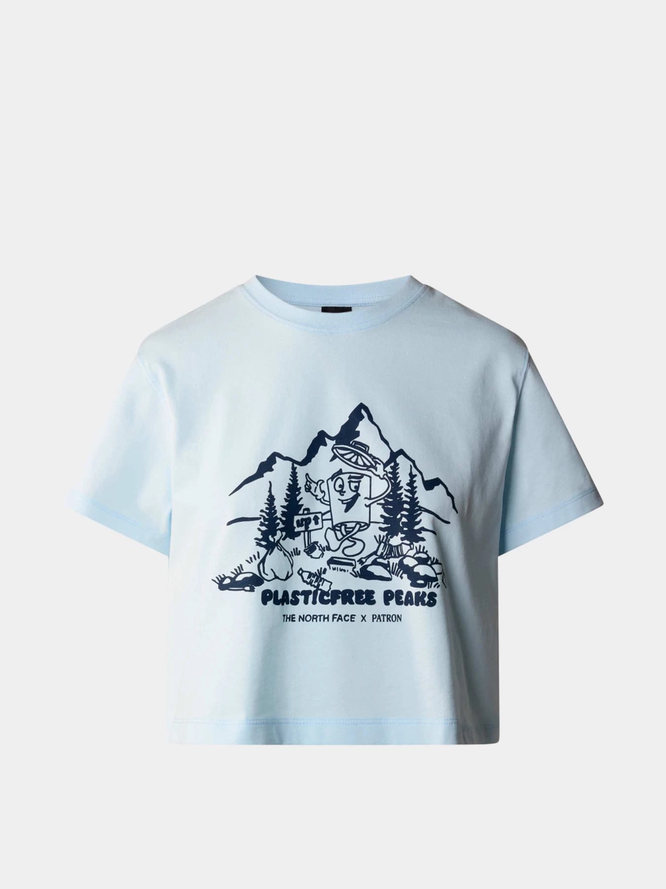 Футболки и поло The North Face модель NF0A87E0O0R1