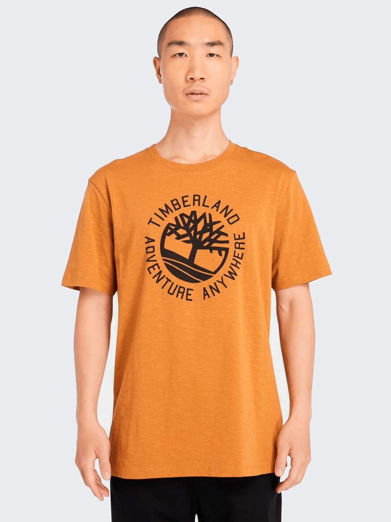 Футболки и поло Timberland модель TB0A5R4AP471