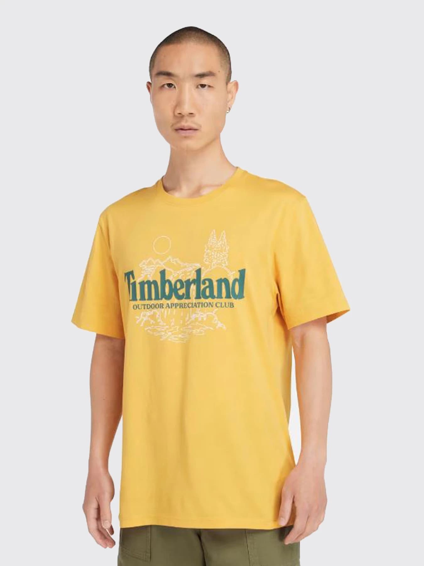 Футболки и поло Timberland модель TB0A5R82EG41