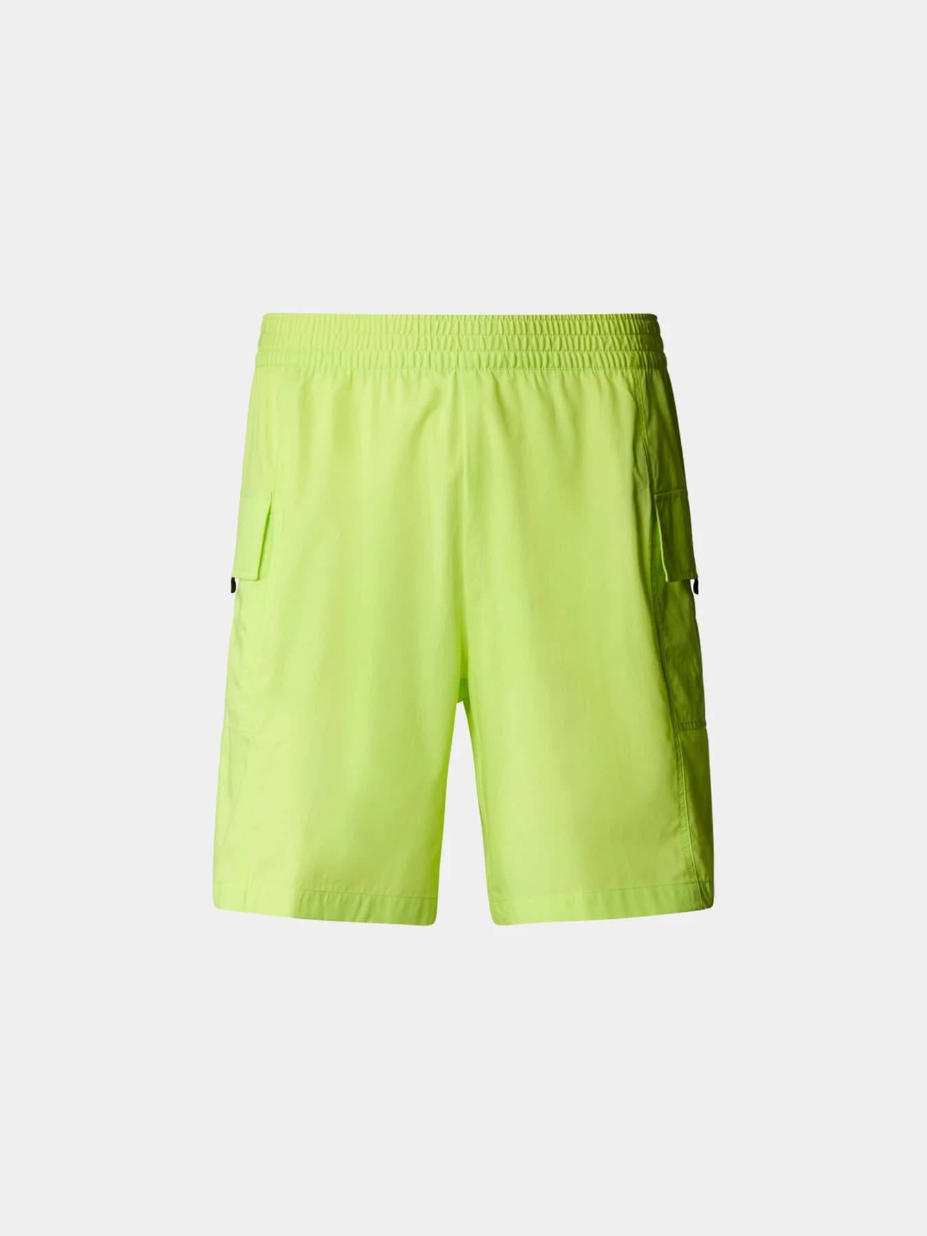 Шорты The North Face модель NF0A879BRIQ1