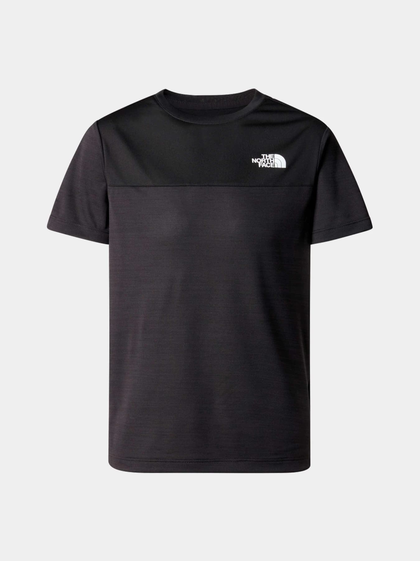 Футболки и поло The North Face модель NF0A86TXJK31