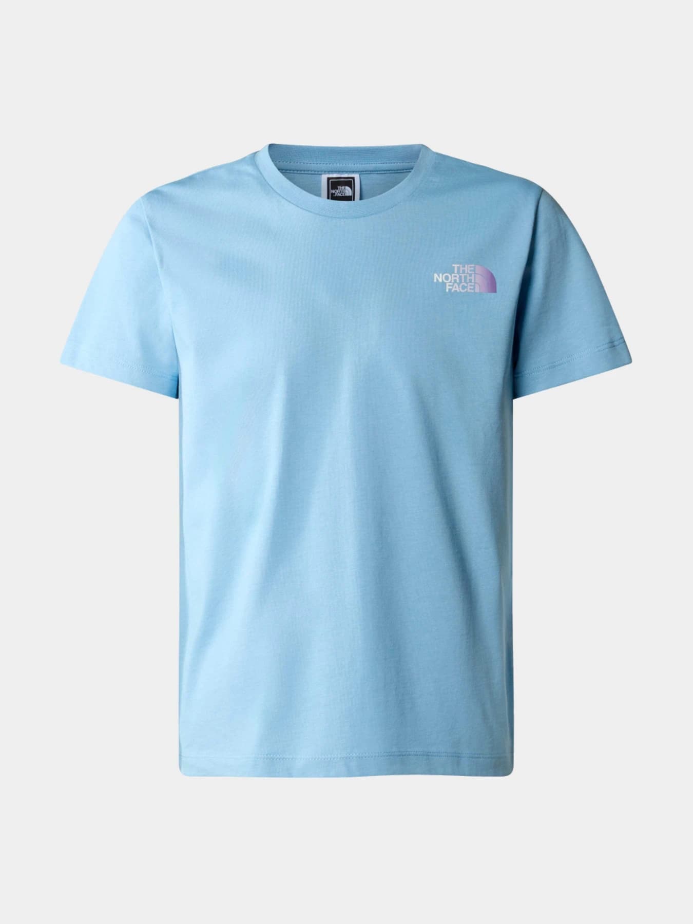 Футболки и поло The North Face модель NF0A87V8QEO1