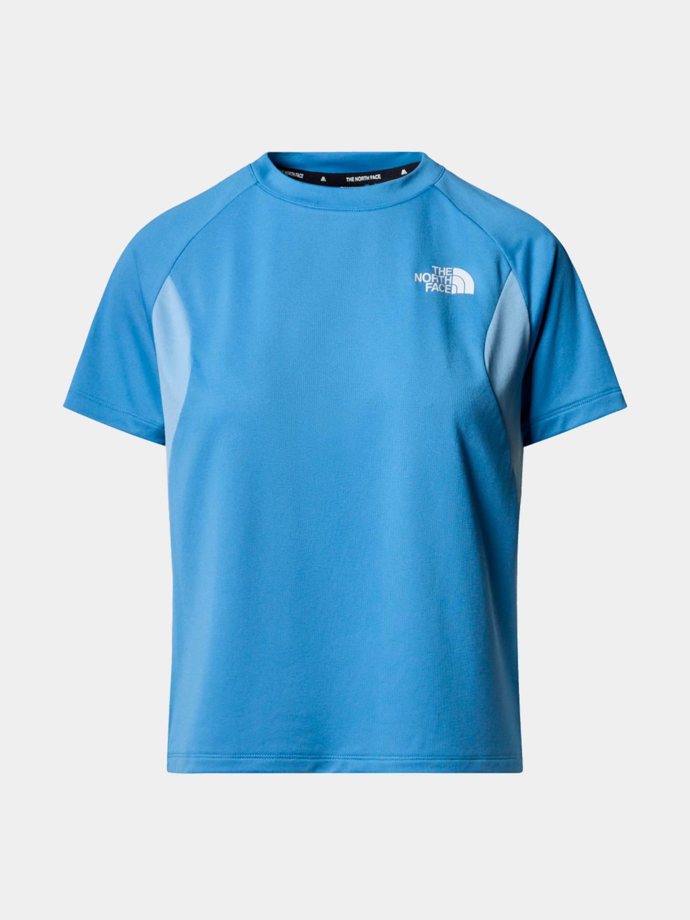 Футболки и поло The North Face модель NF0A87G8TIV1