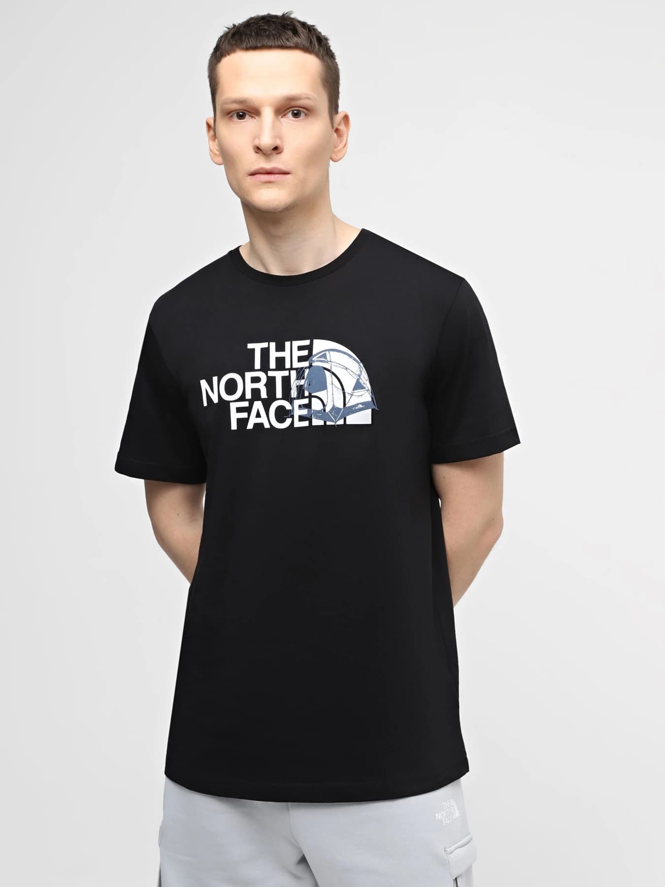 Футболки и поло The North Face модель NF0A8954JK31