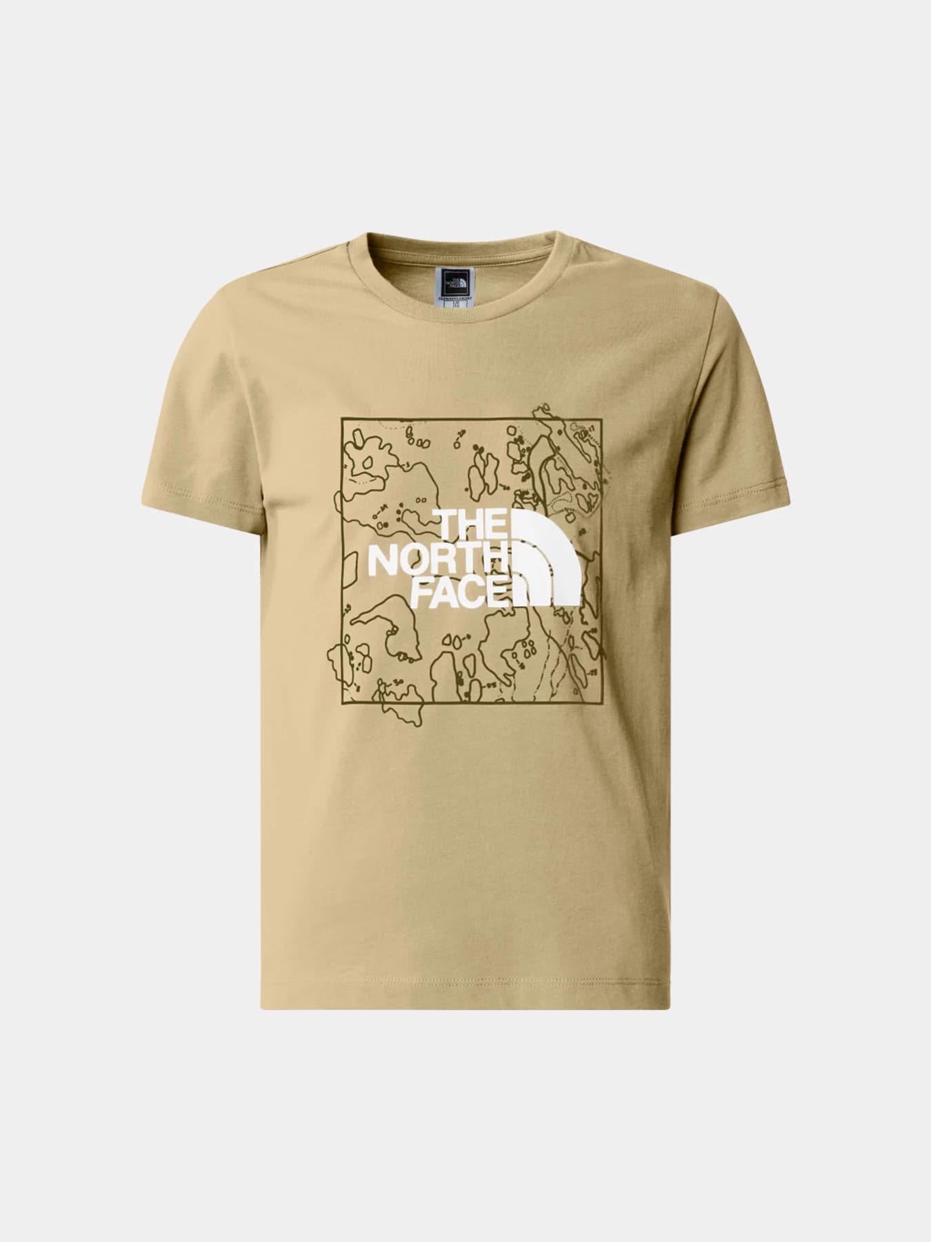 Футболки и поло The North Face модель NF0A877WYRO1