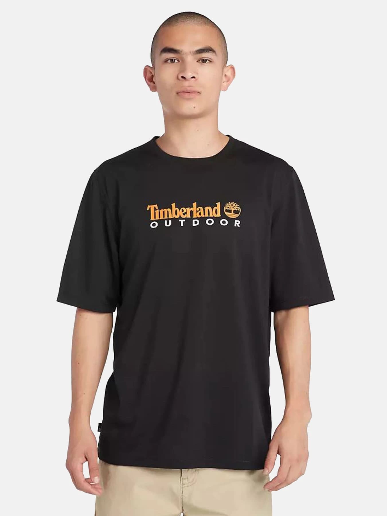 Футболки и поло Timberland модель TB0A5SFX001