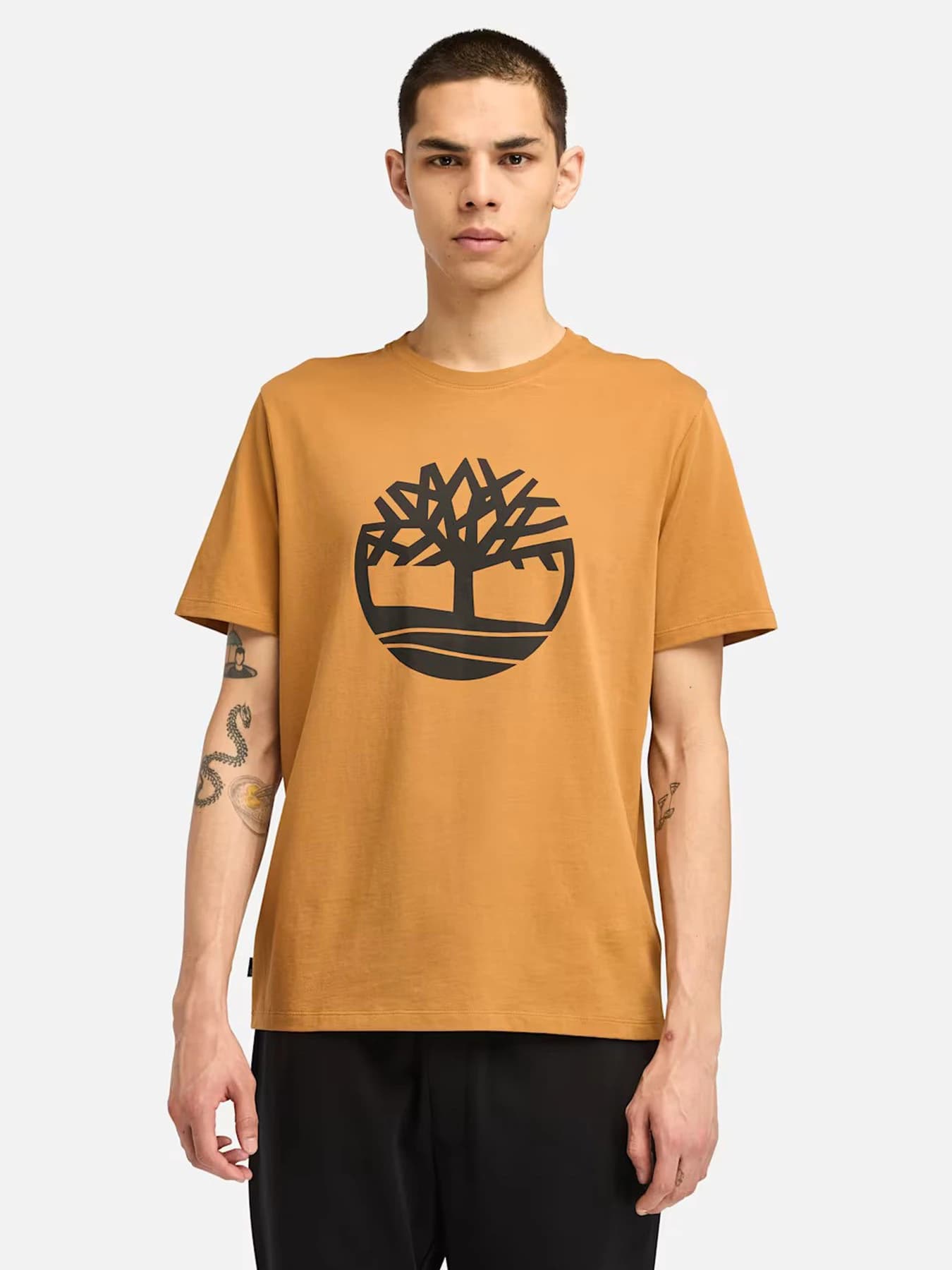 Футболки и поло Timberland модель TB0A2C6SP47