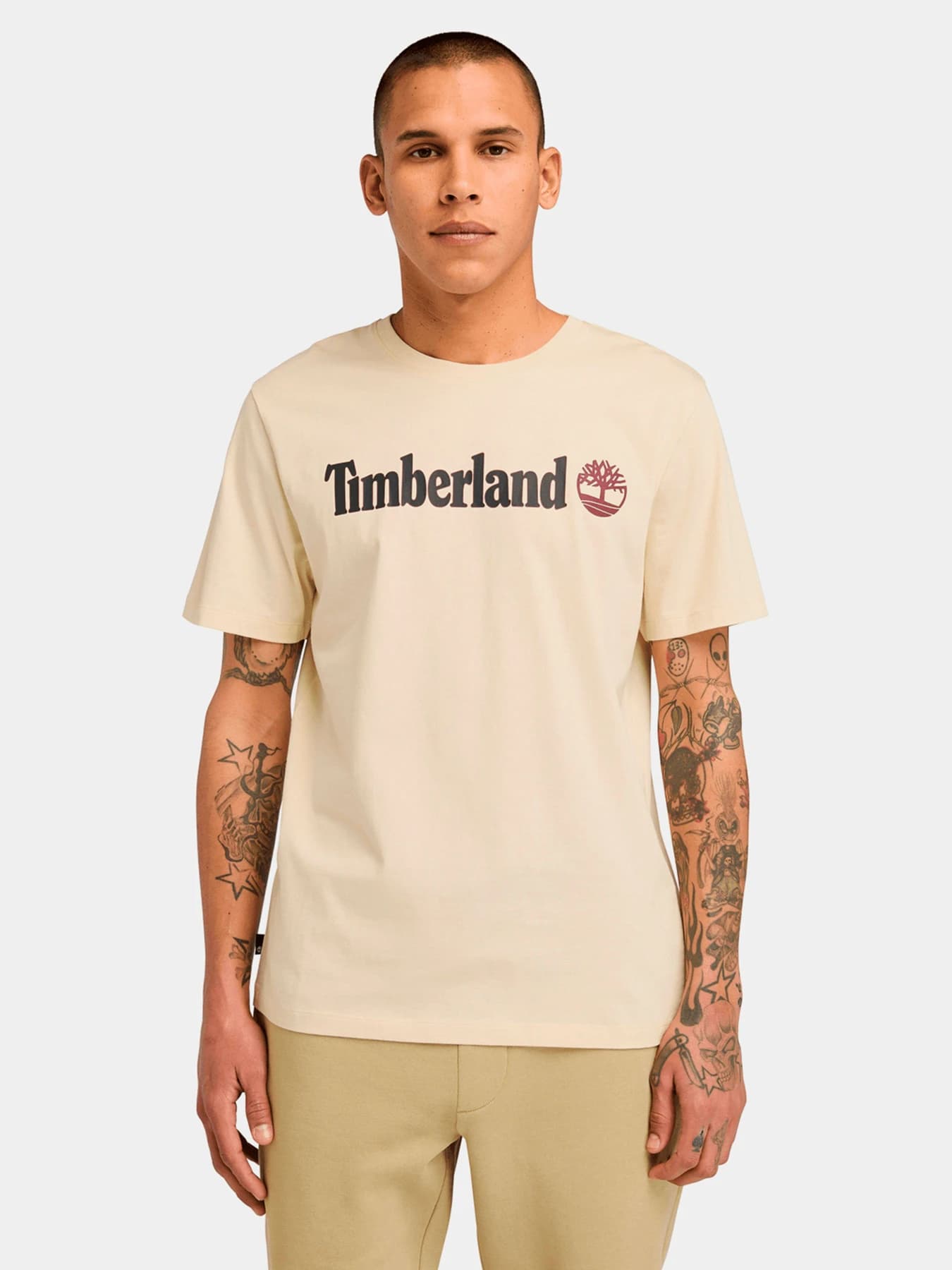 Футболки и поло Timberland модель TB0A5UPQEFL