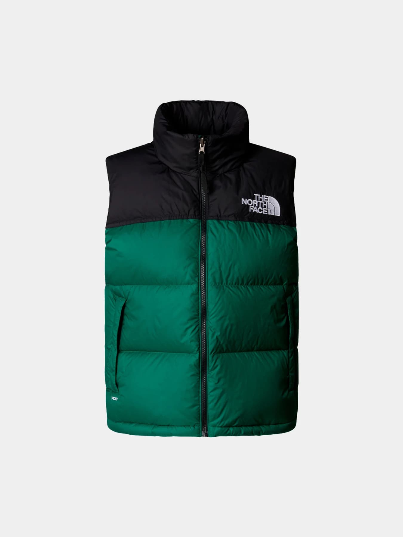 Куртки и дубленки The North Face модель NF0A3XEPNL11