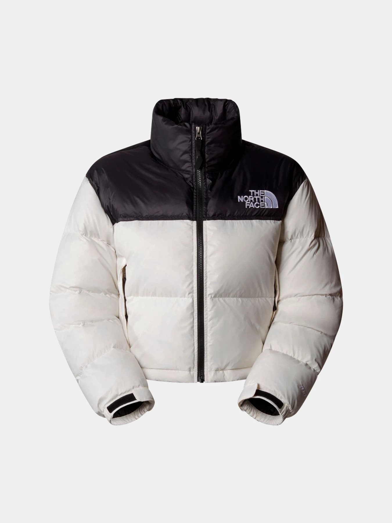 Куртки и дубленки The North Face модель NF0A5GGEROU1