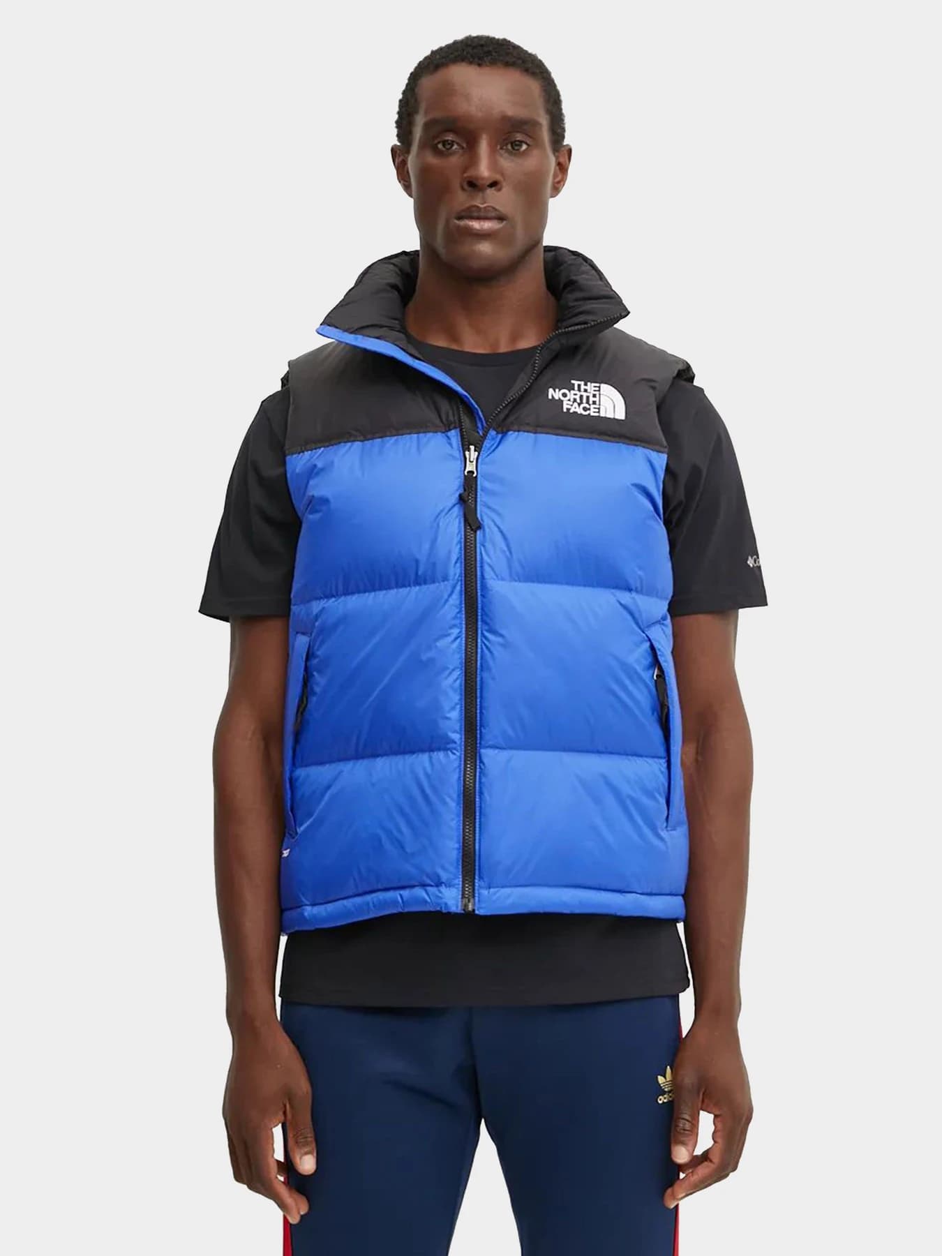 Куртки и дубленки The North Face модель NF0A3JQQCZ61