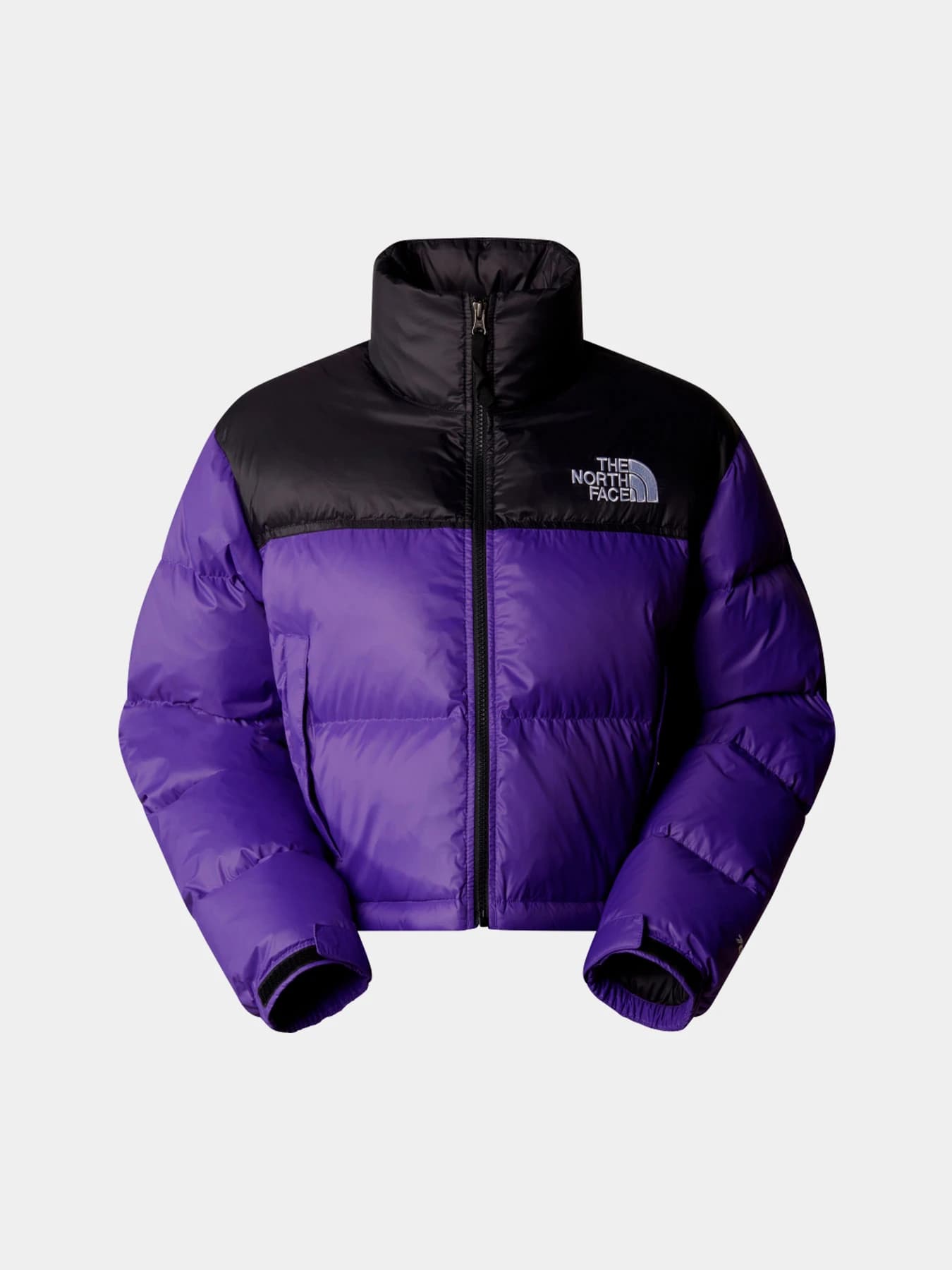 Куртки и дубленки The North Face модель NF0A5GGES961