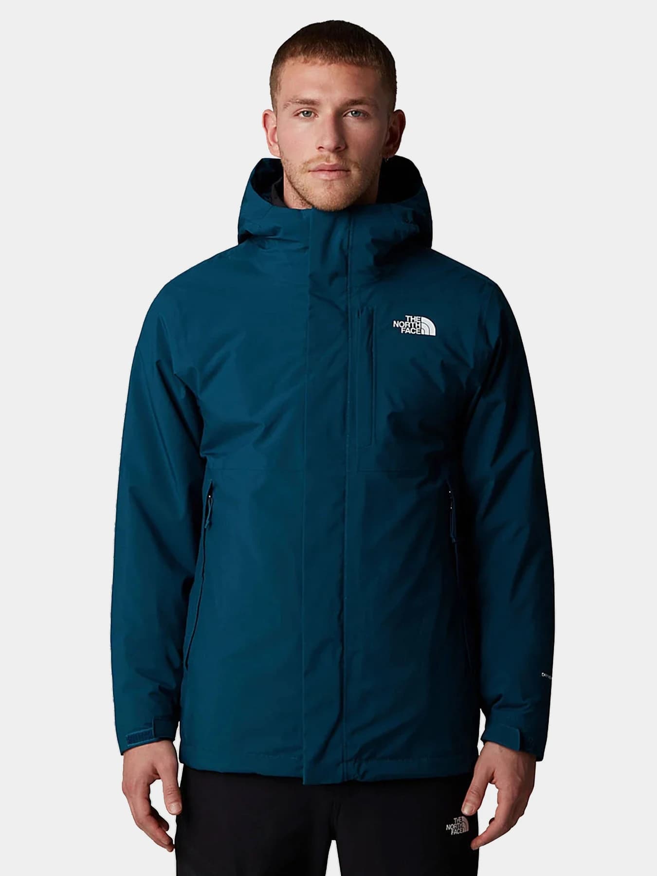 Куртки и дубленки The North Face модель NF0A5IWI5LO1