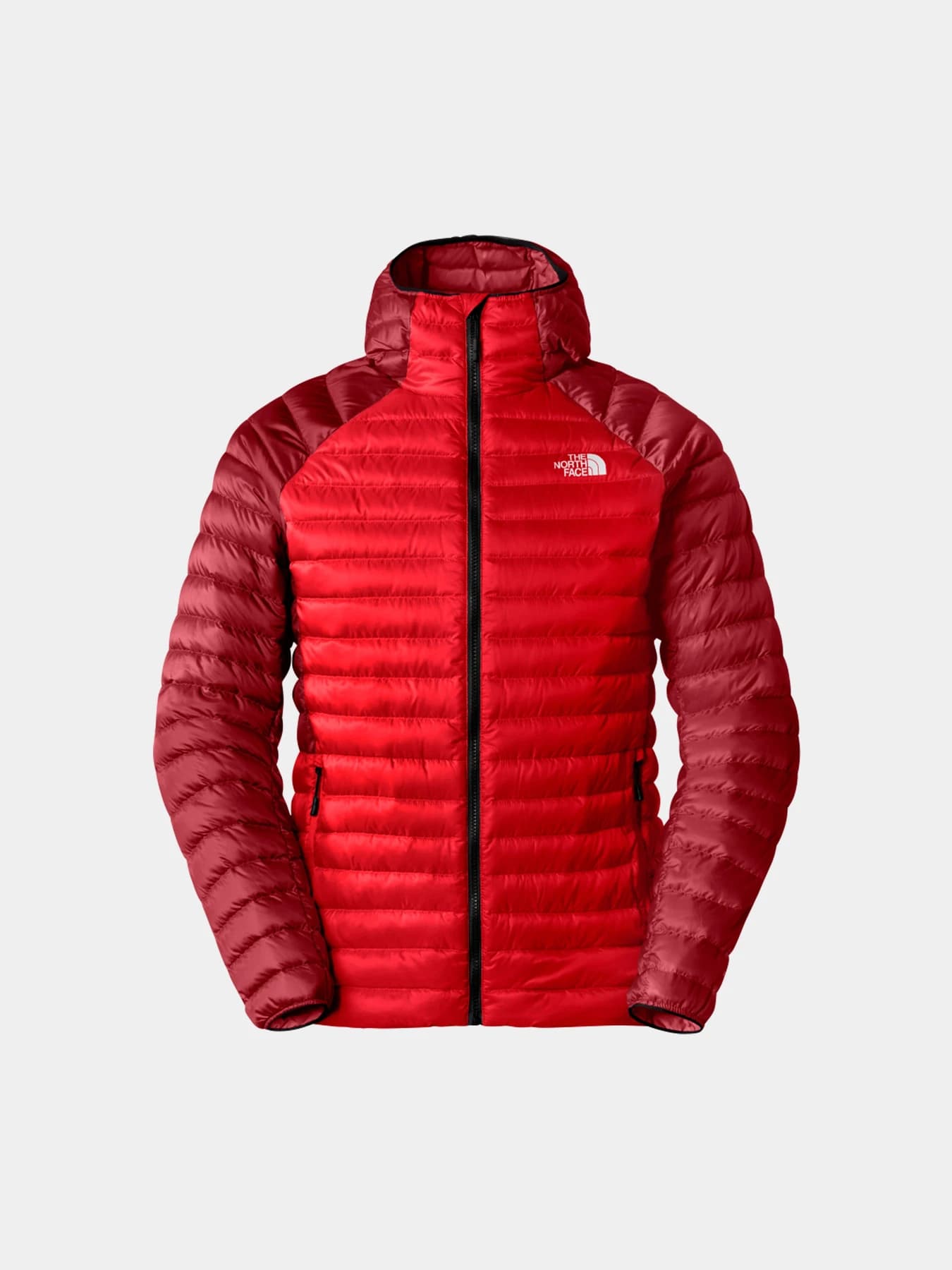 Куртки и дубленки The North Face модель NF0A87GX7IR1