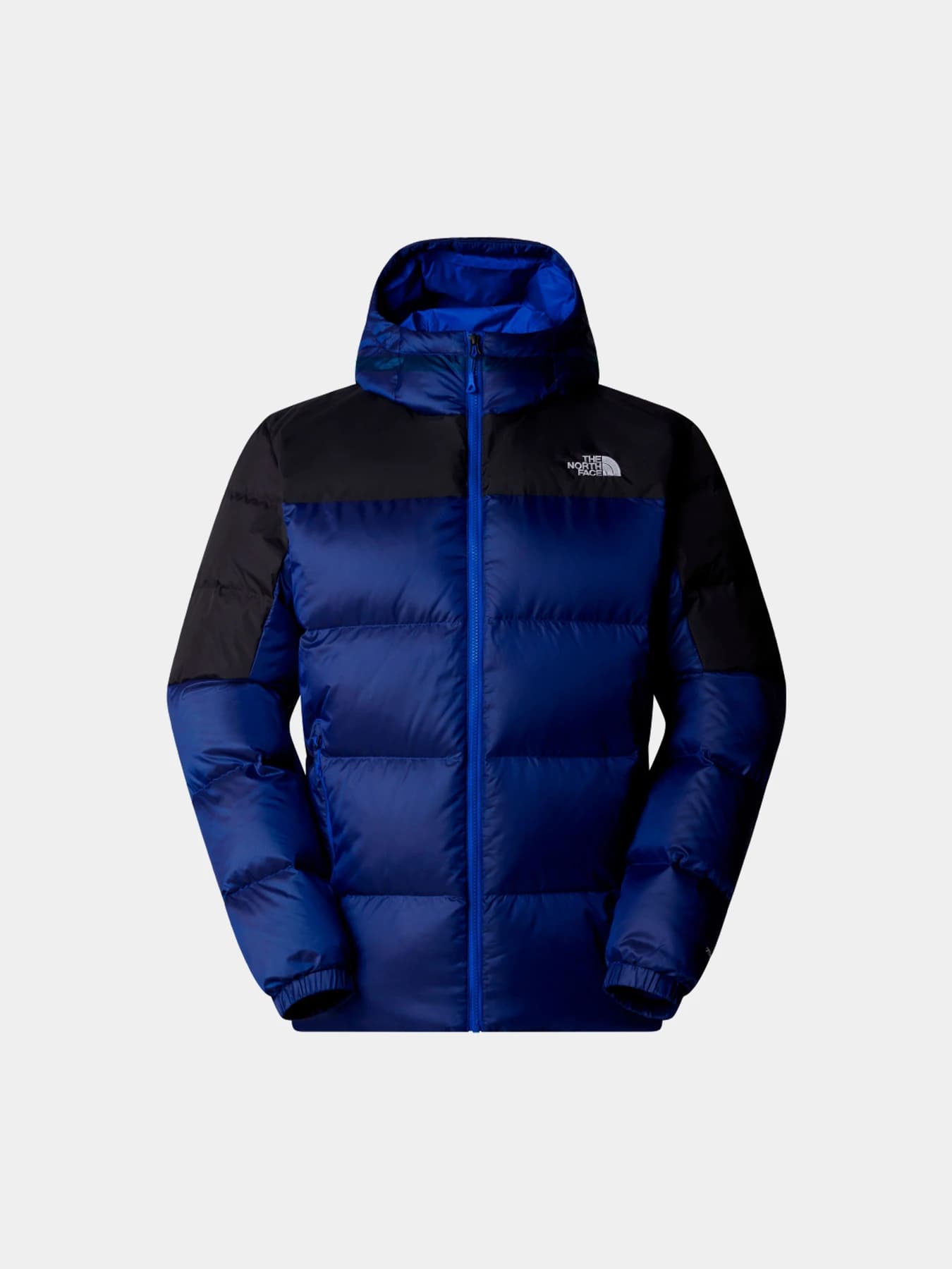 Куртки и дубленки The North Face модель NF0A89920AI1
